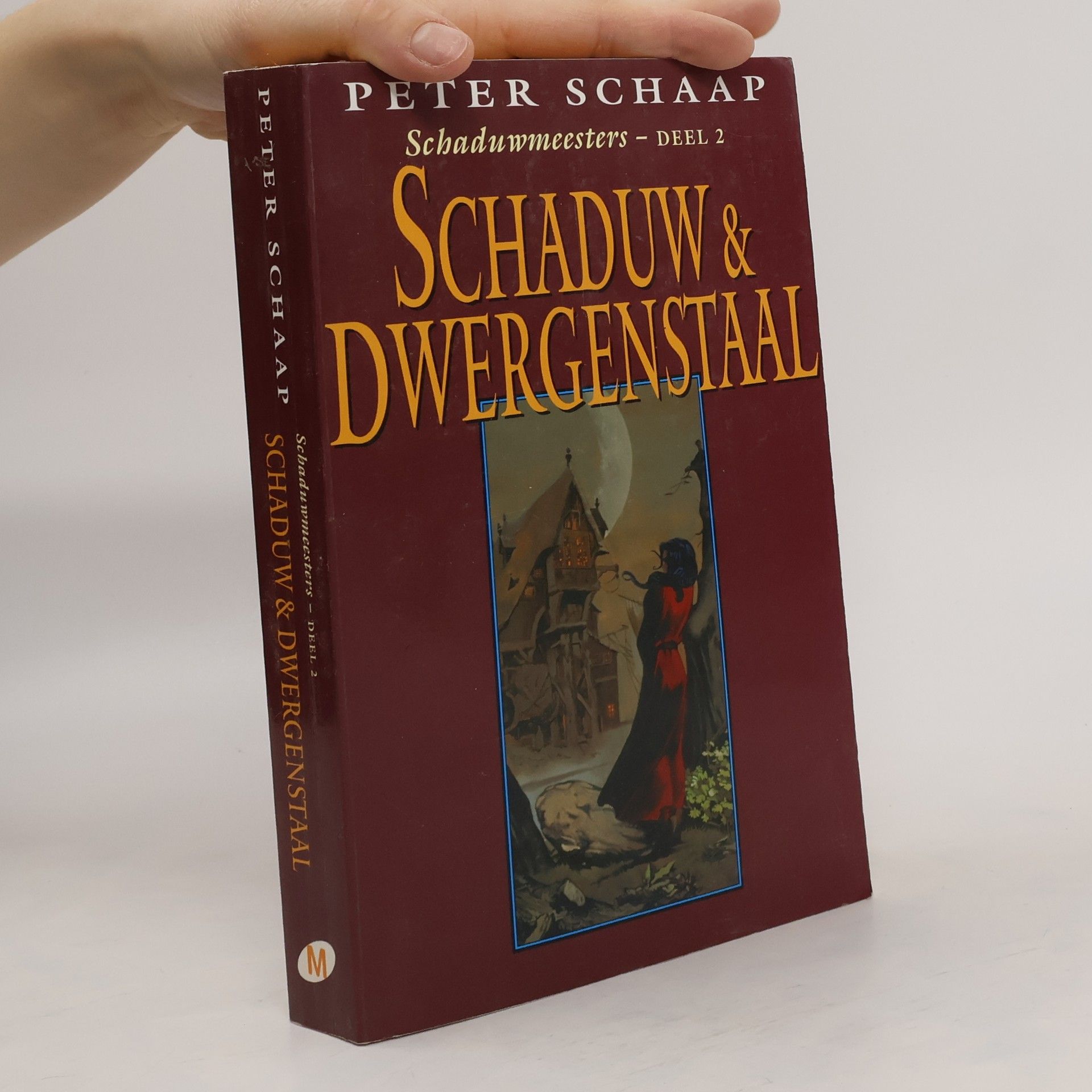 Schaduwmeesters - 2: Schaduw & dwergenstaal