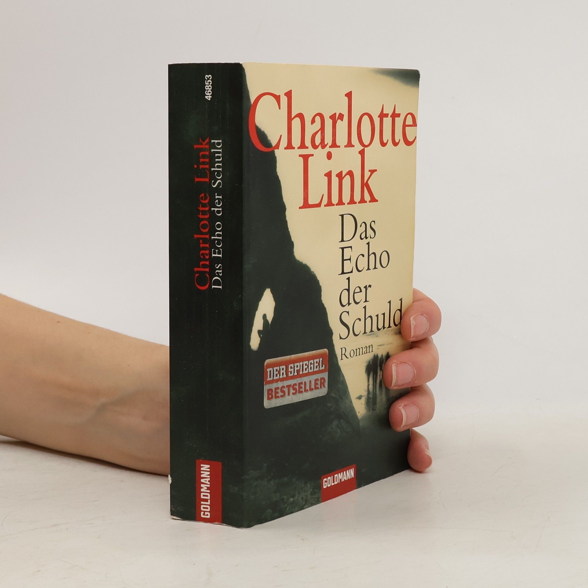 Charlotte Link Das Echo der Schuld