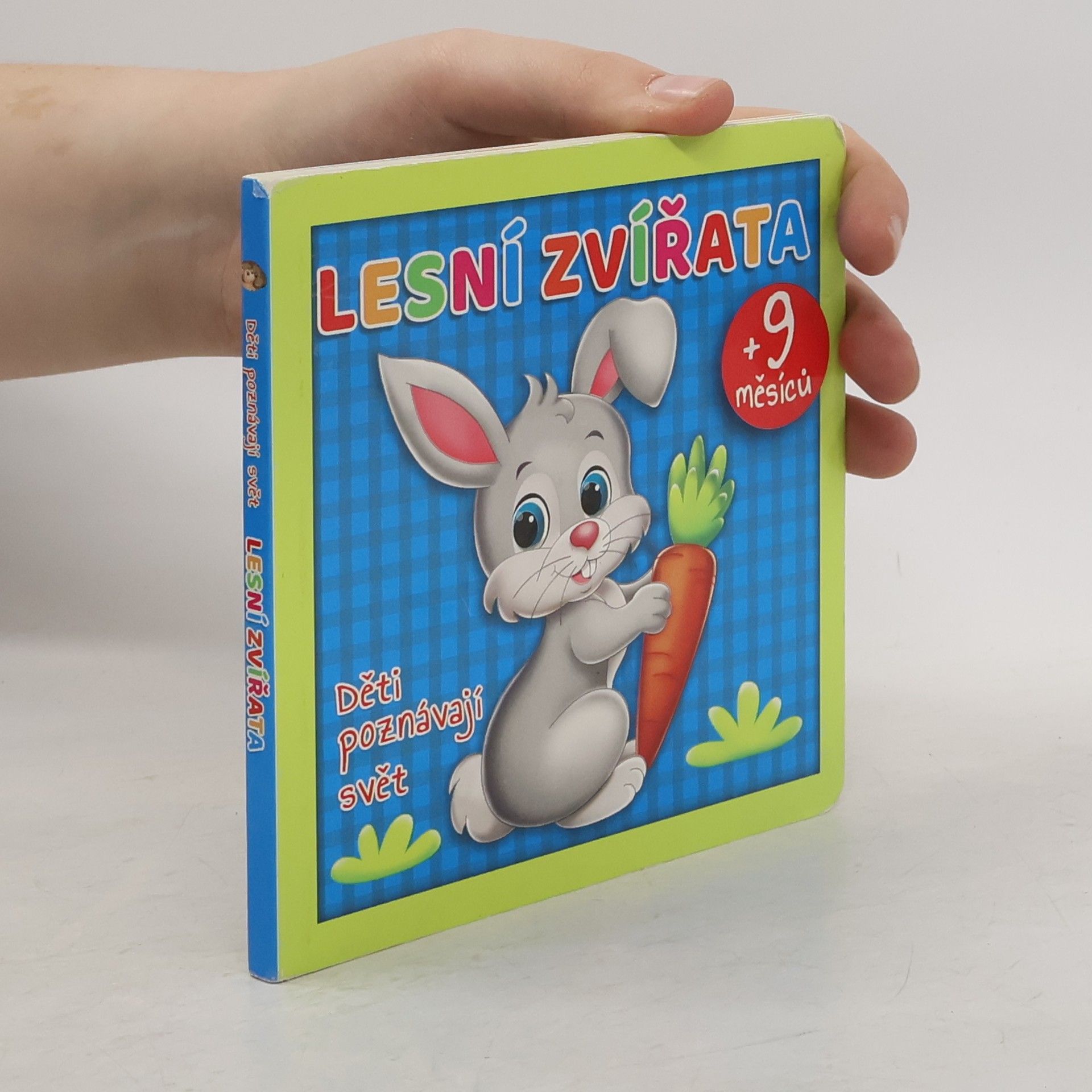 Collectif d'auteurs Lesní zvířata