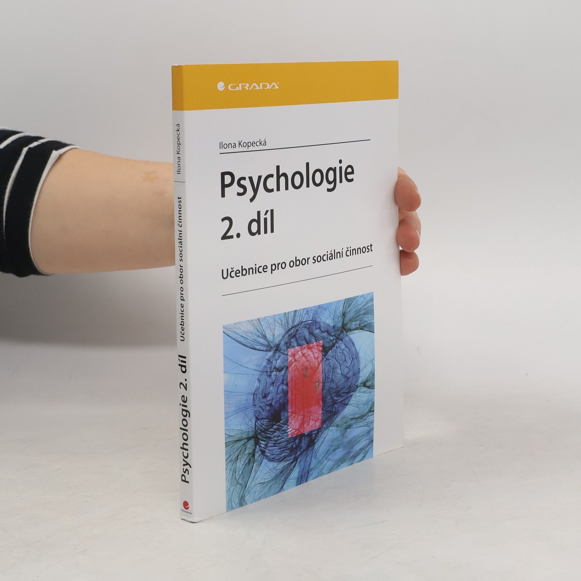 Ilona Kopecká Psychologie : učebnice pro obor sociální činnost. 2. díl