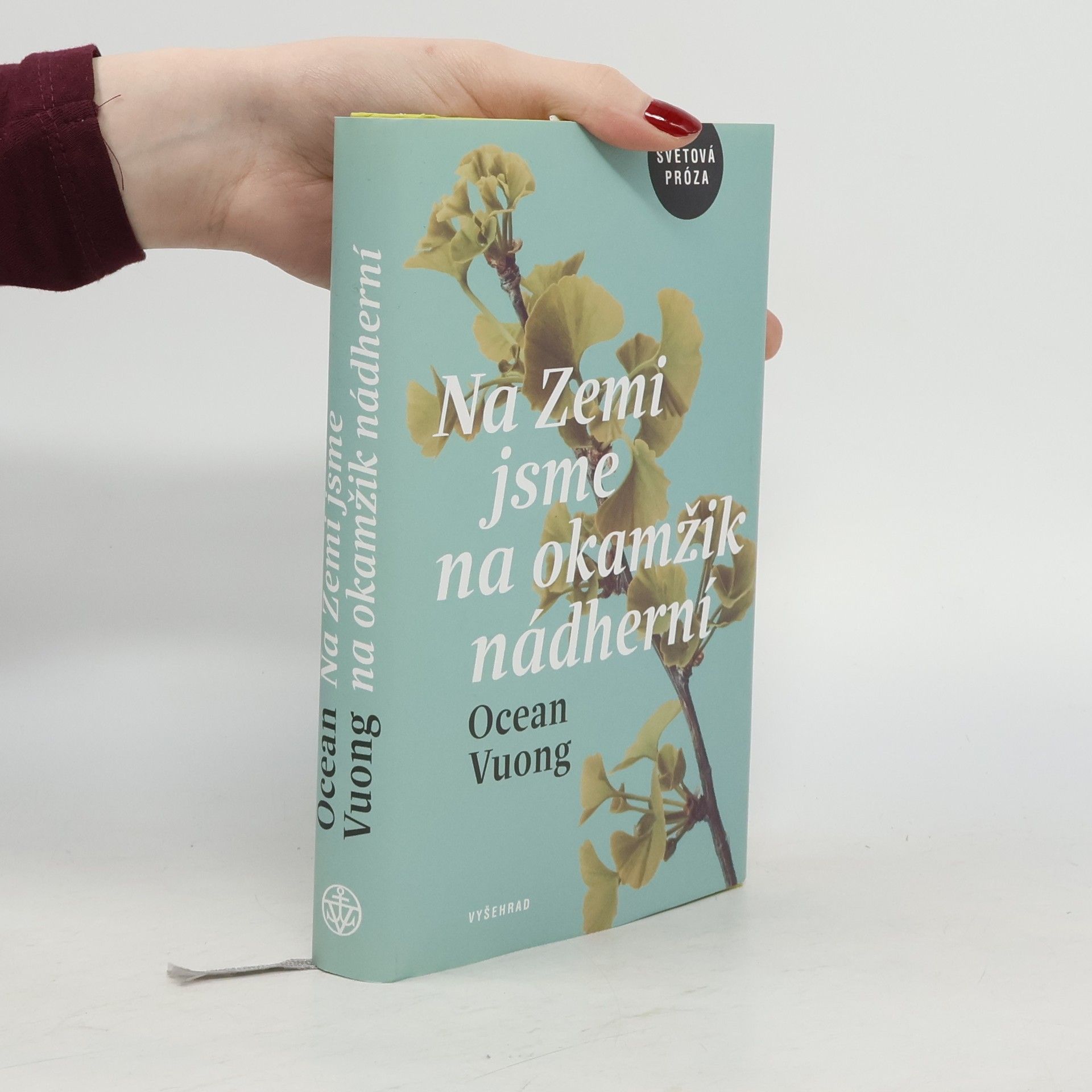 Ocean Vuong Na Zemi jsme na okamžik nádherní