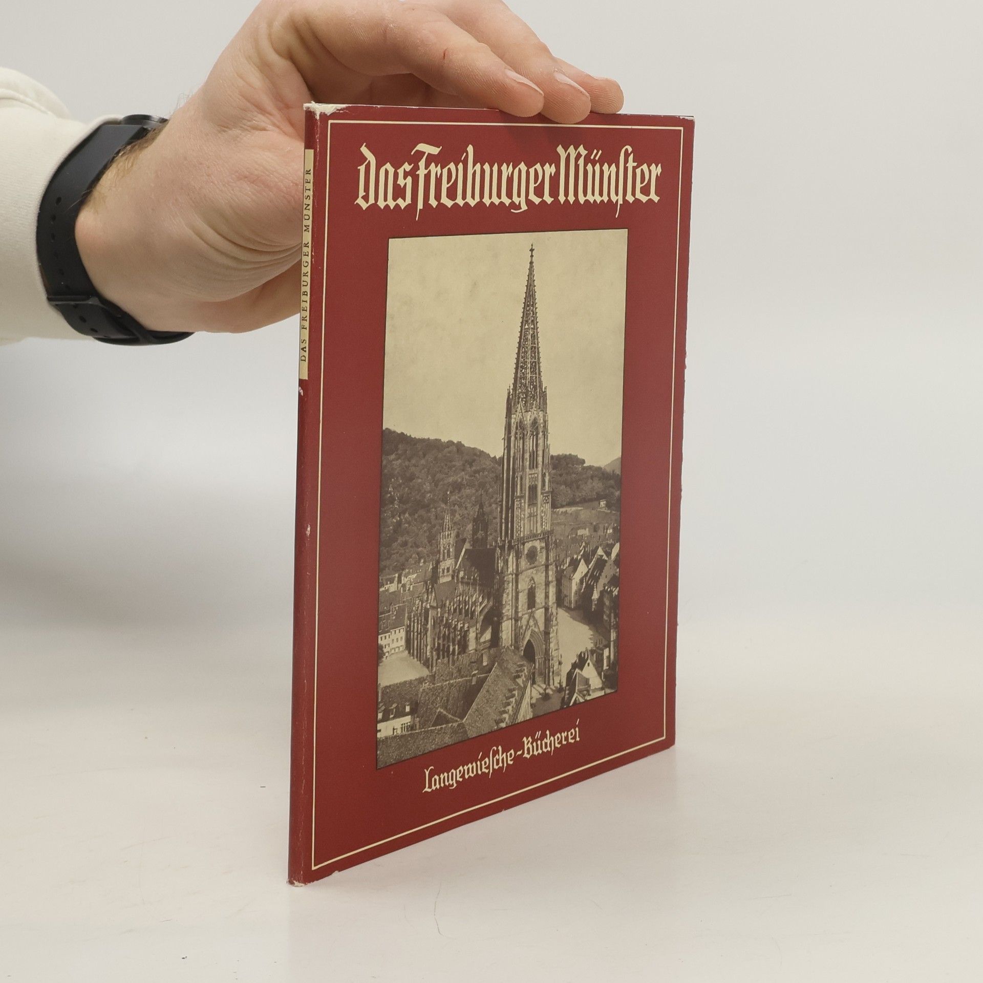 Autorenkollektiv Das Freiburger Münster
