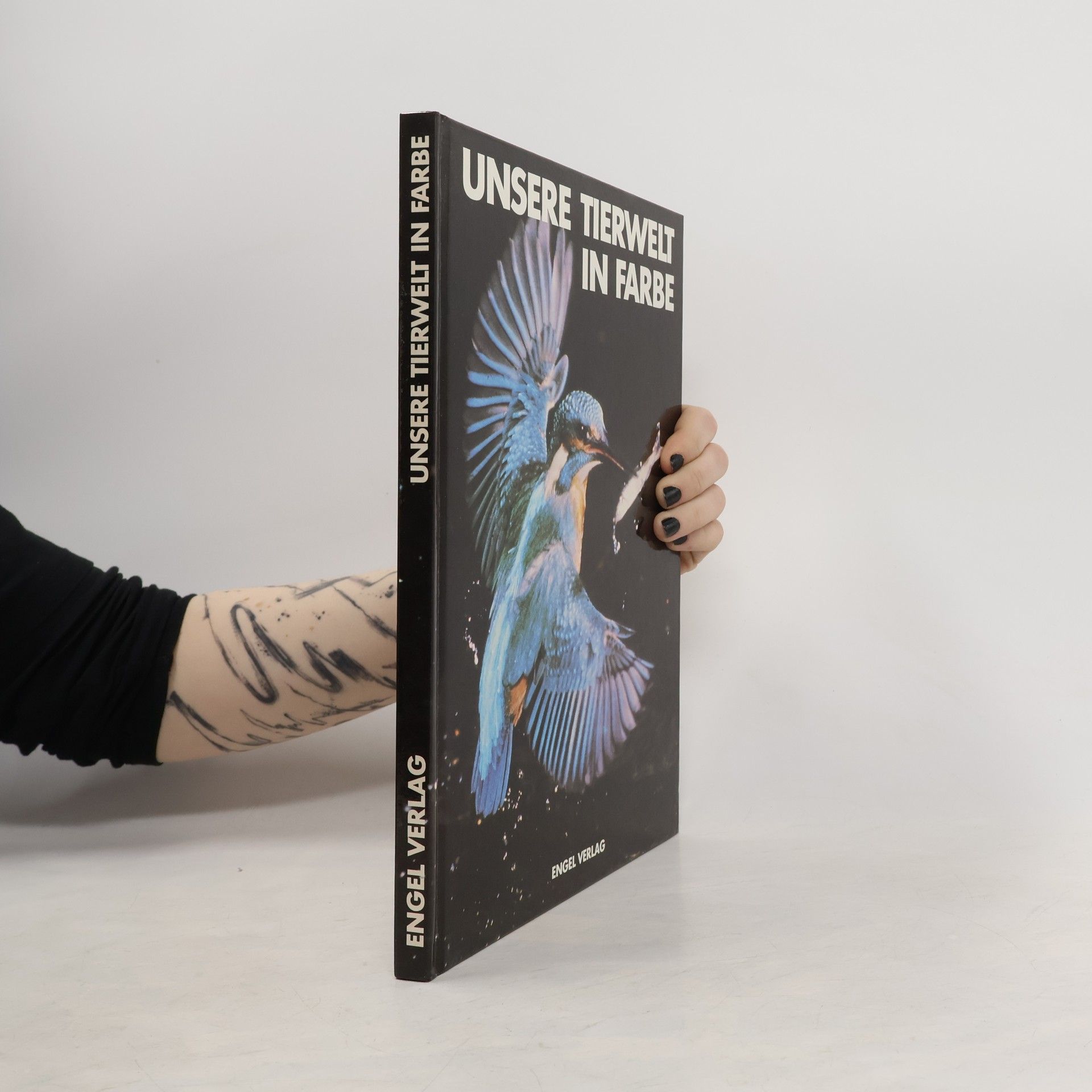 Theodor Haltenorth Unsere Tierwelt in Farbe