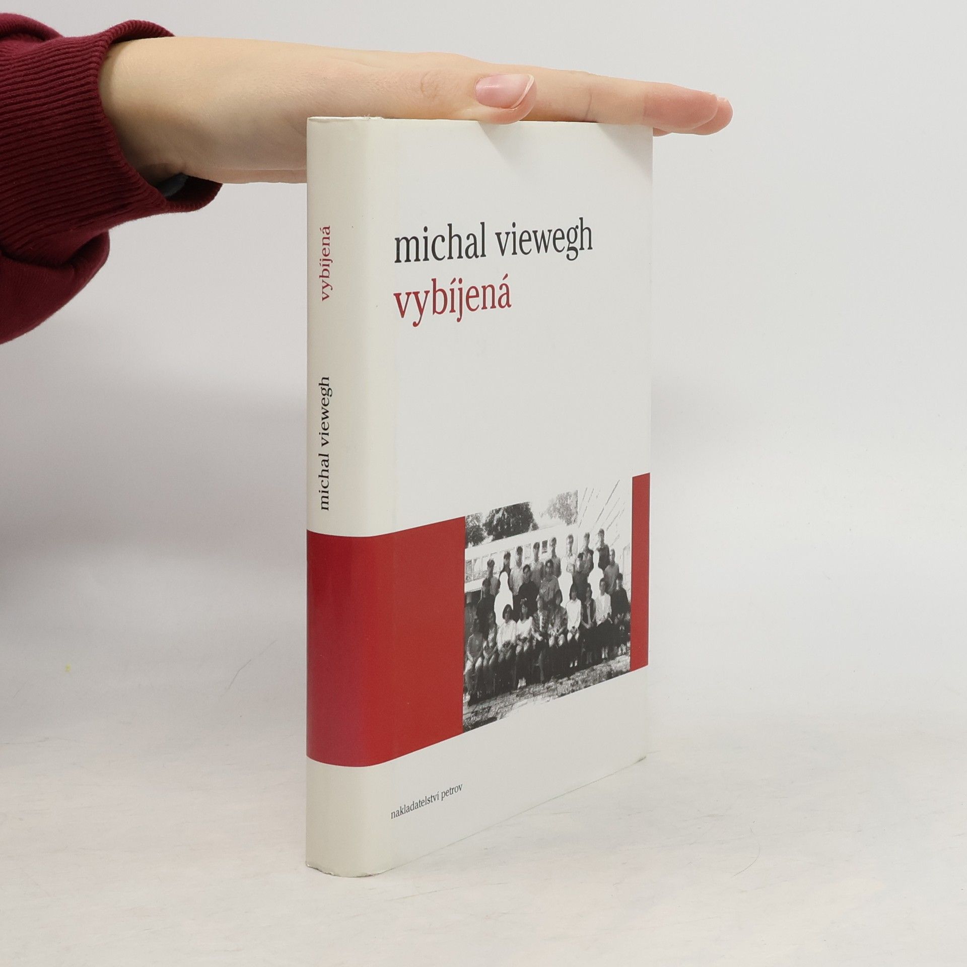 Michal Viewegh Vybíjená