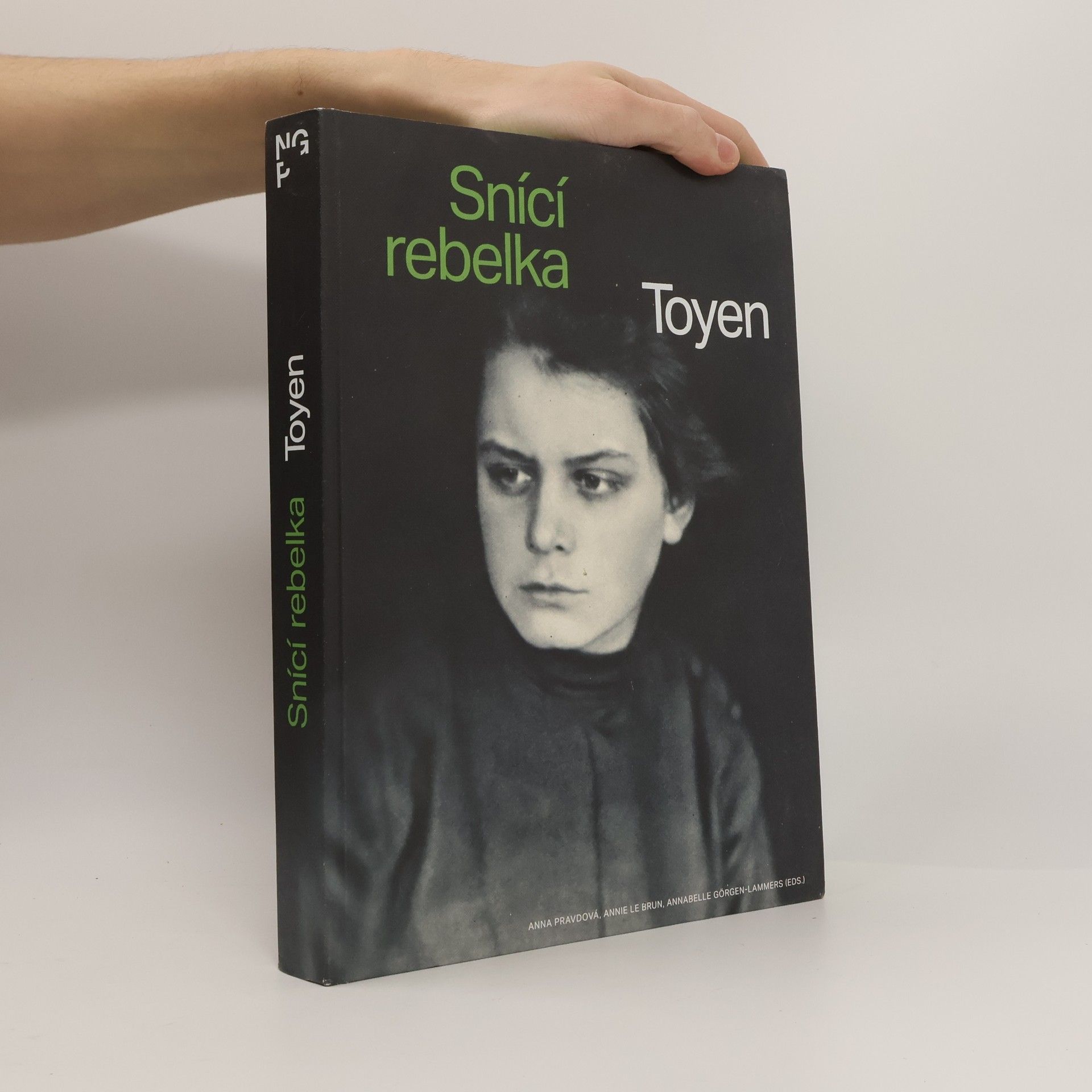 Anna Pravdová Toyen: Snící rebelka