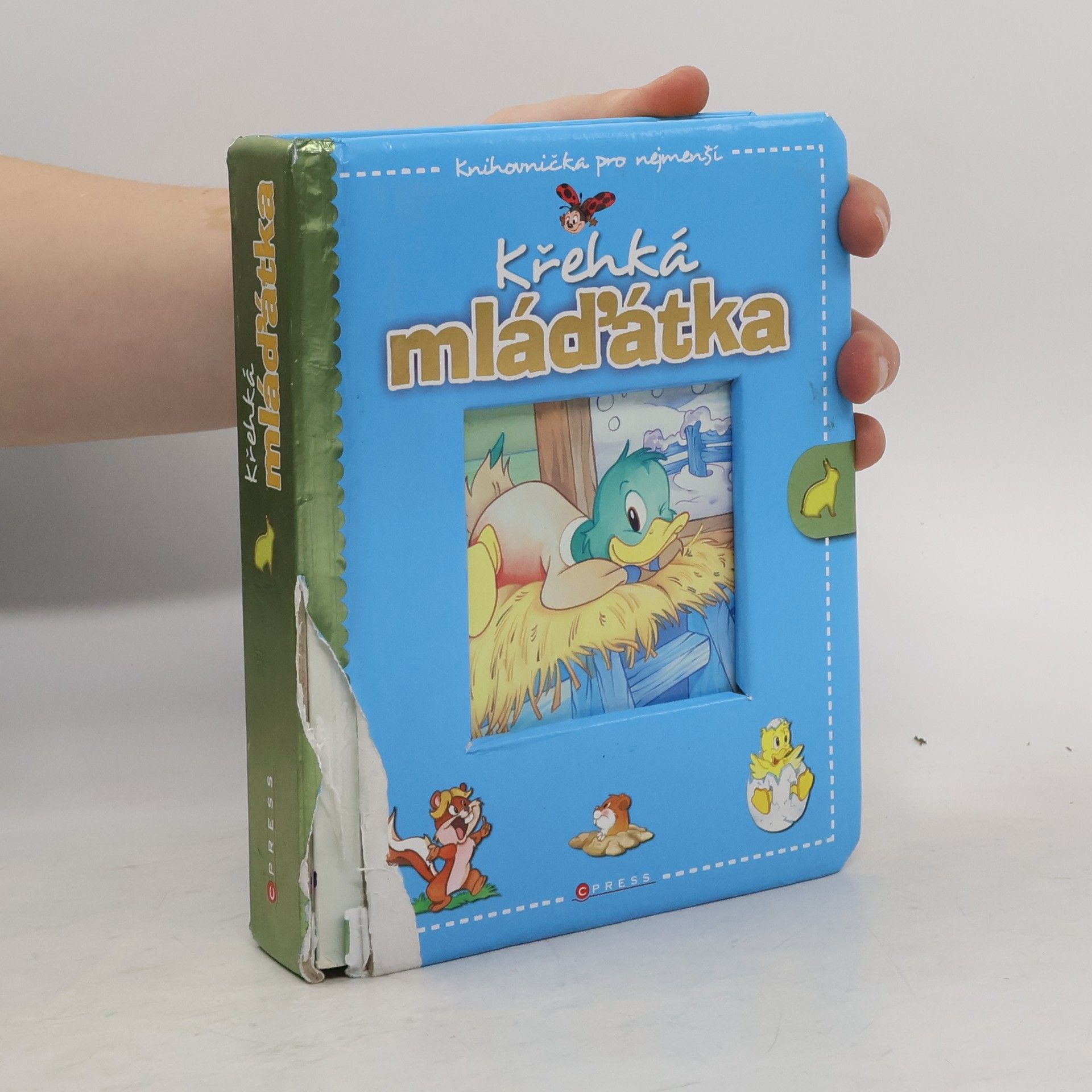 Claudio Cernuschi Křehká mláďátka