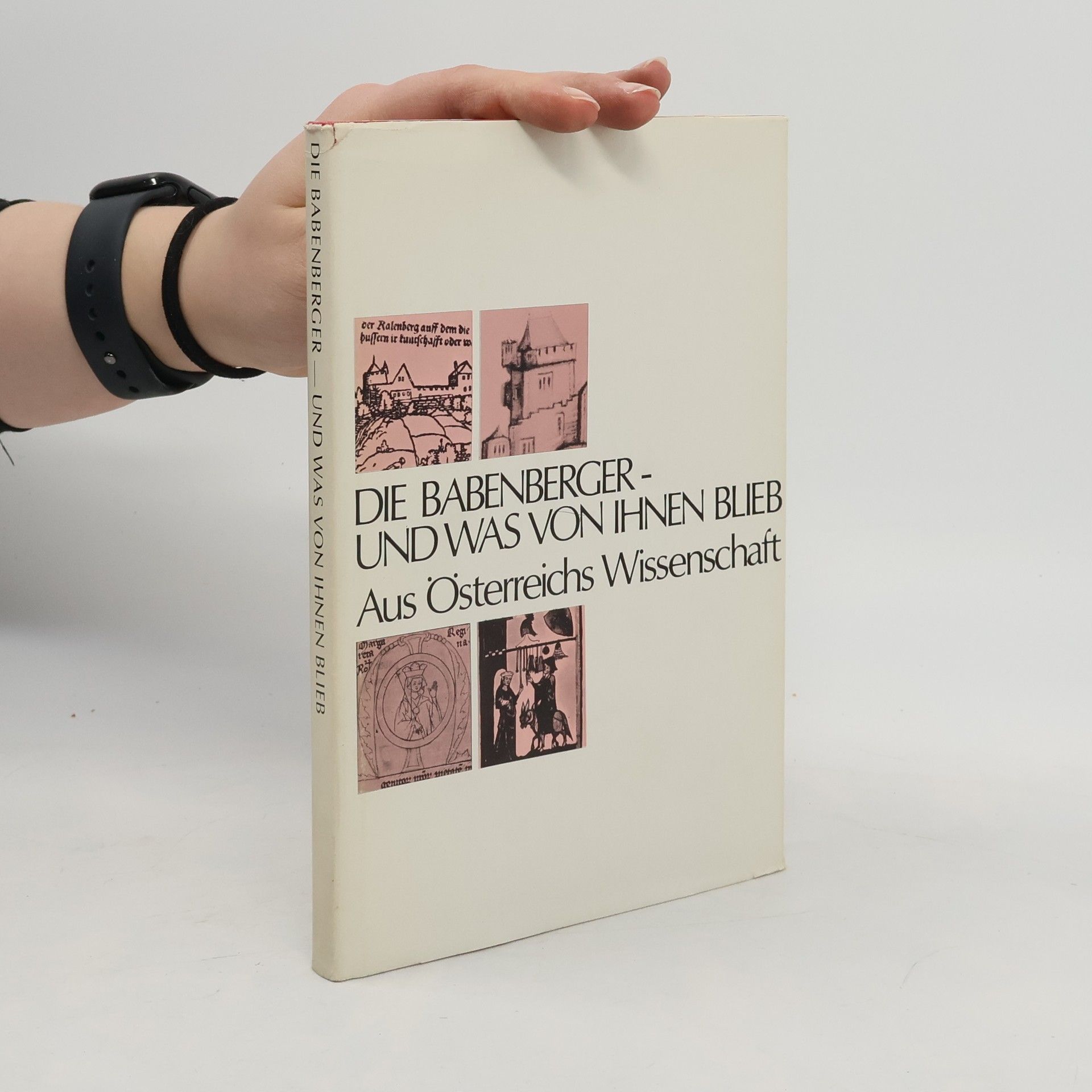 Collectif d'auteurs Die Babenberger und was von ihnen blieb