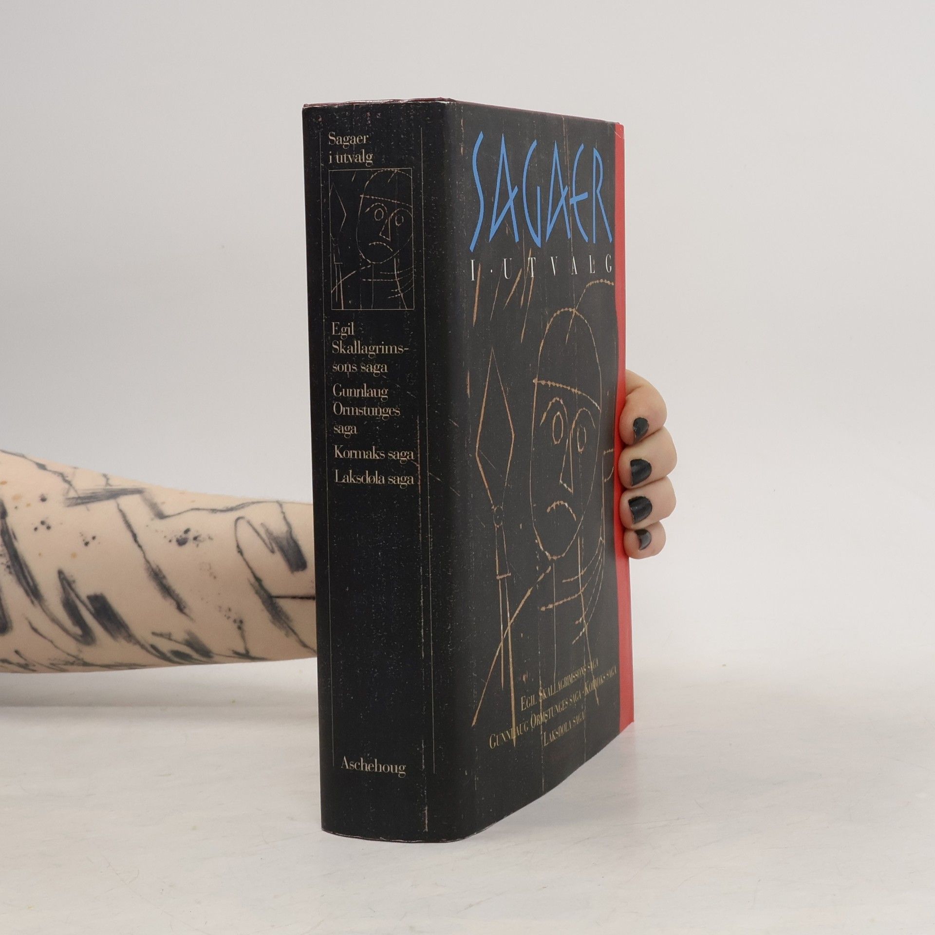 Autorenkollektiv Sagaer i utvalg
