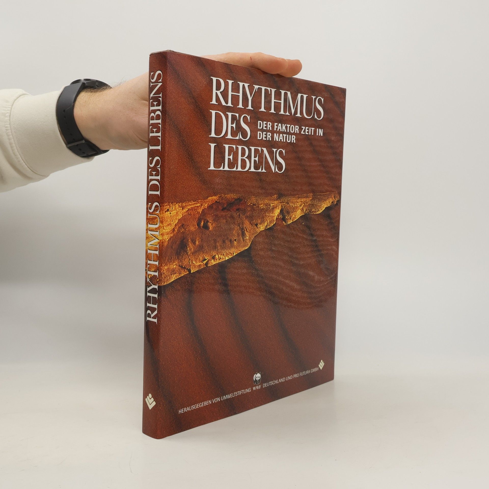 Collectif d'auteurs Rhythmus des Lebens