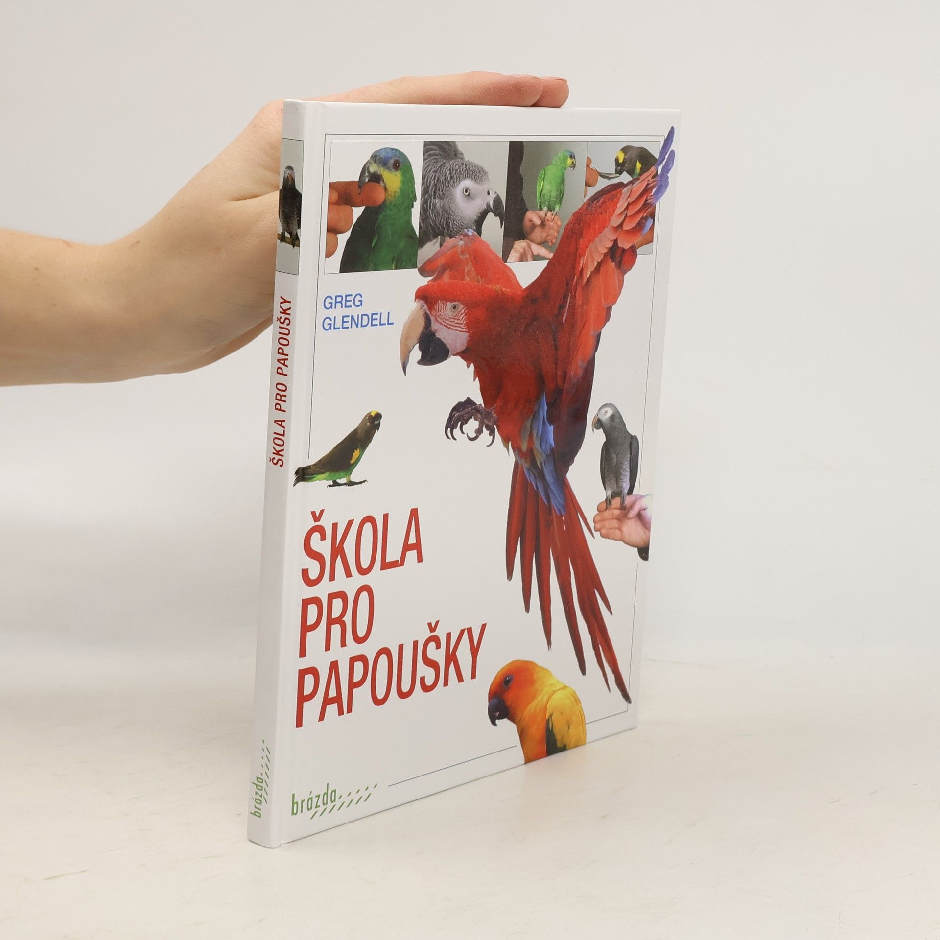 Greg Glendell Škola pro papoušky