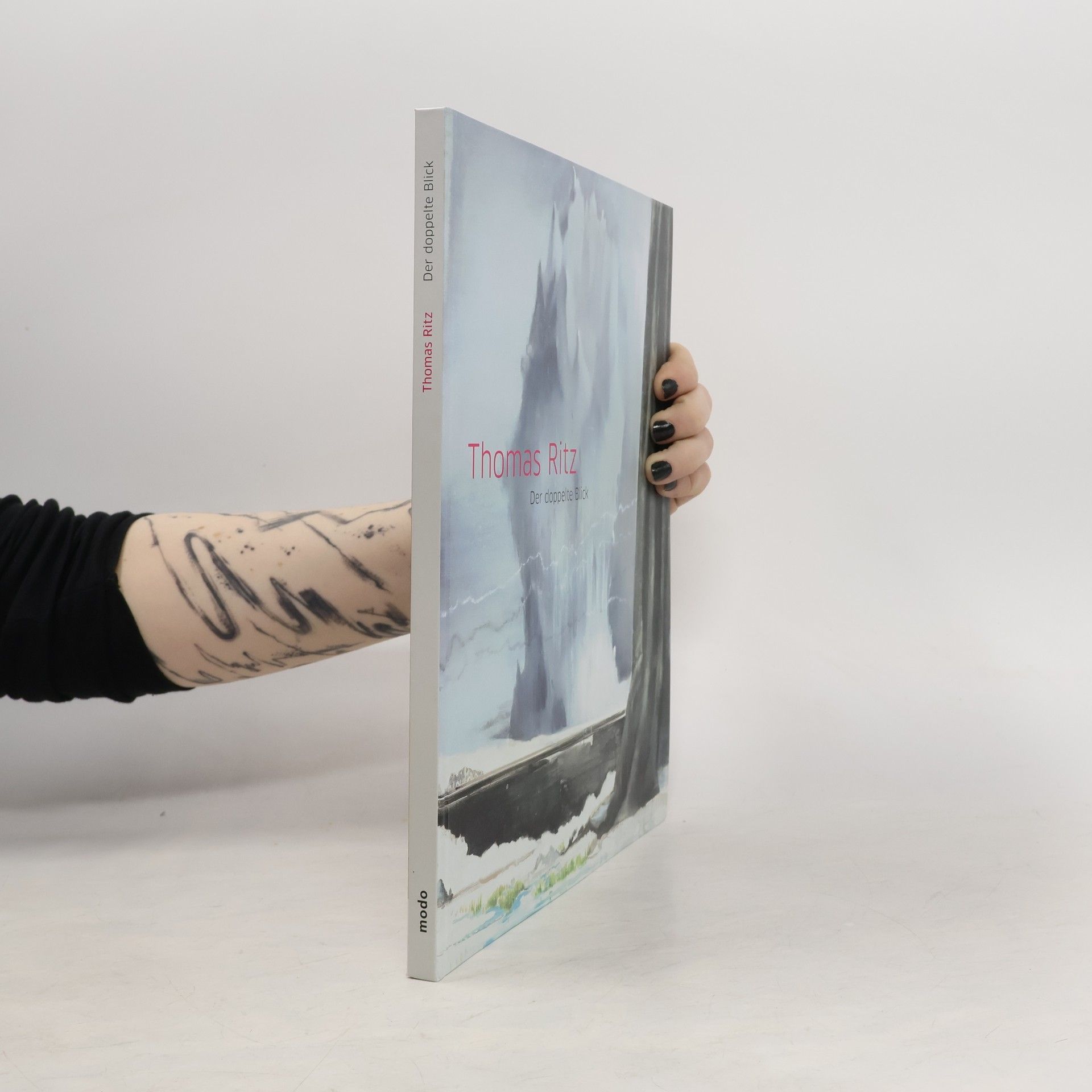 Jean-Christophe Ammann Thomas Ritz, Der doppelte Blick