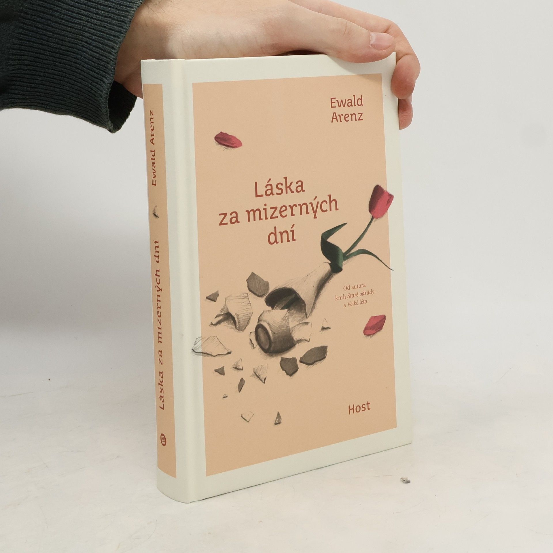 Ewald Arenz Láska za mizerných dní