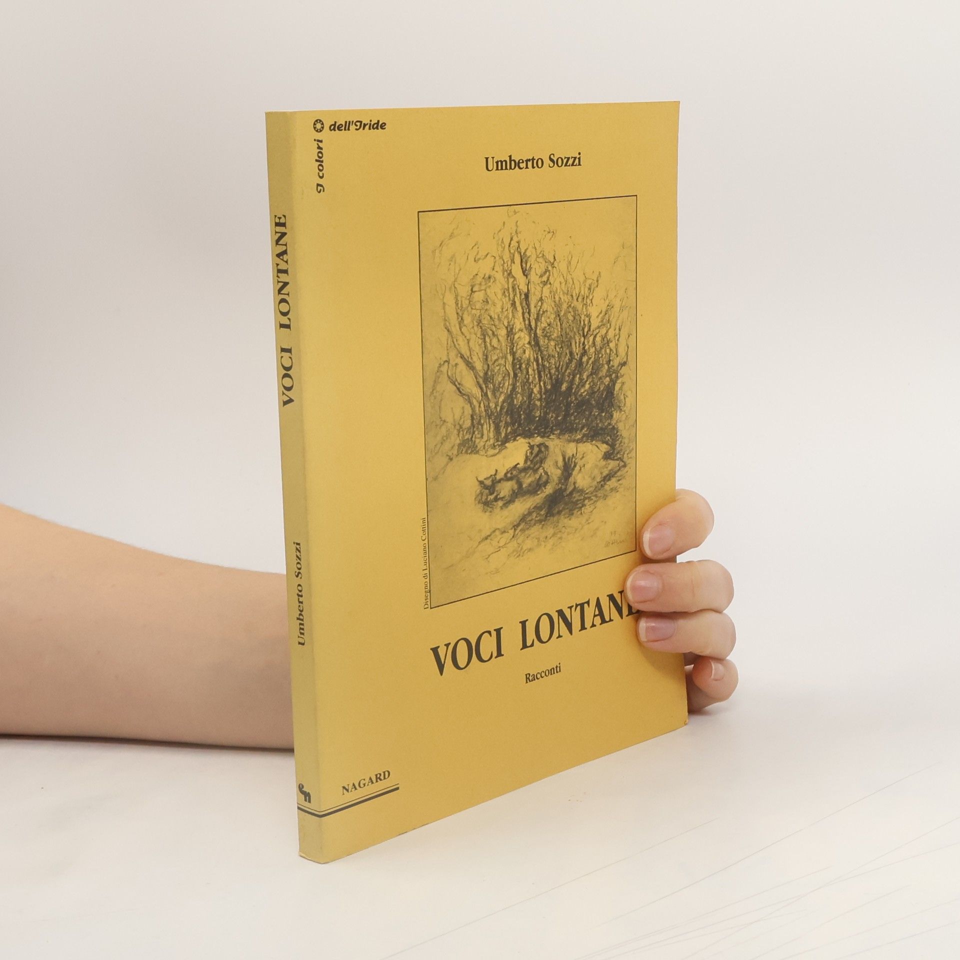 Umberto Sozzi I colori dell'iride: Voci lontane