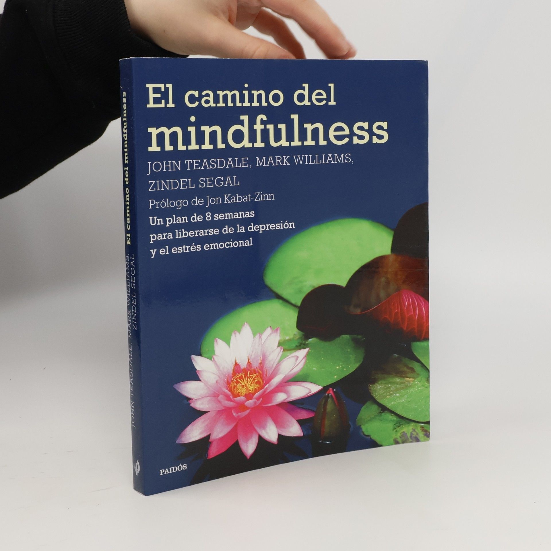 John D. Teasdale Divulgación: El camino del mindfulness