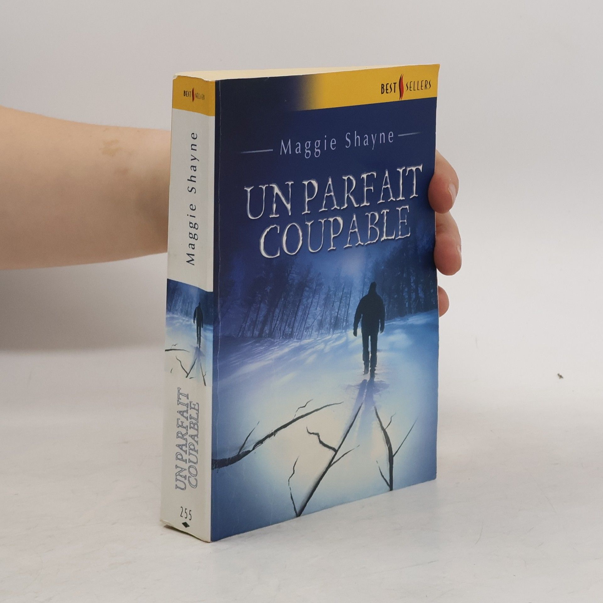 Maggie Shayne Un parfait coupable