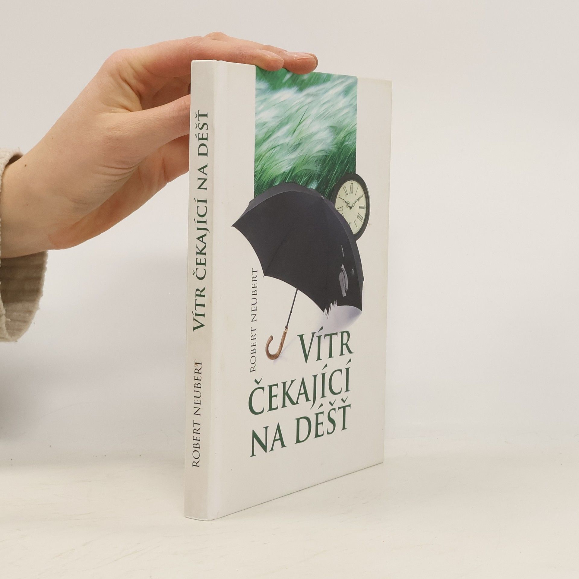 Robert Neubert Vítr čekající na déšť