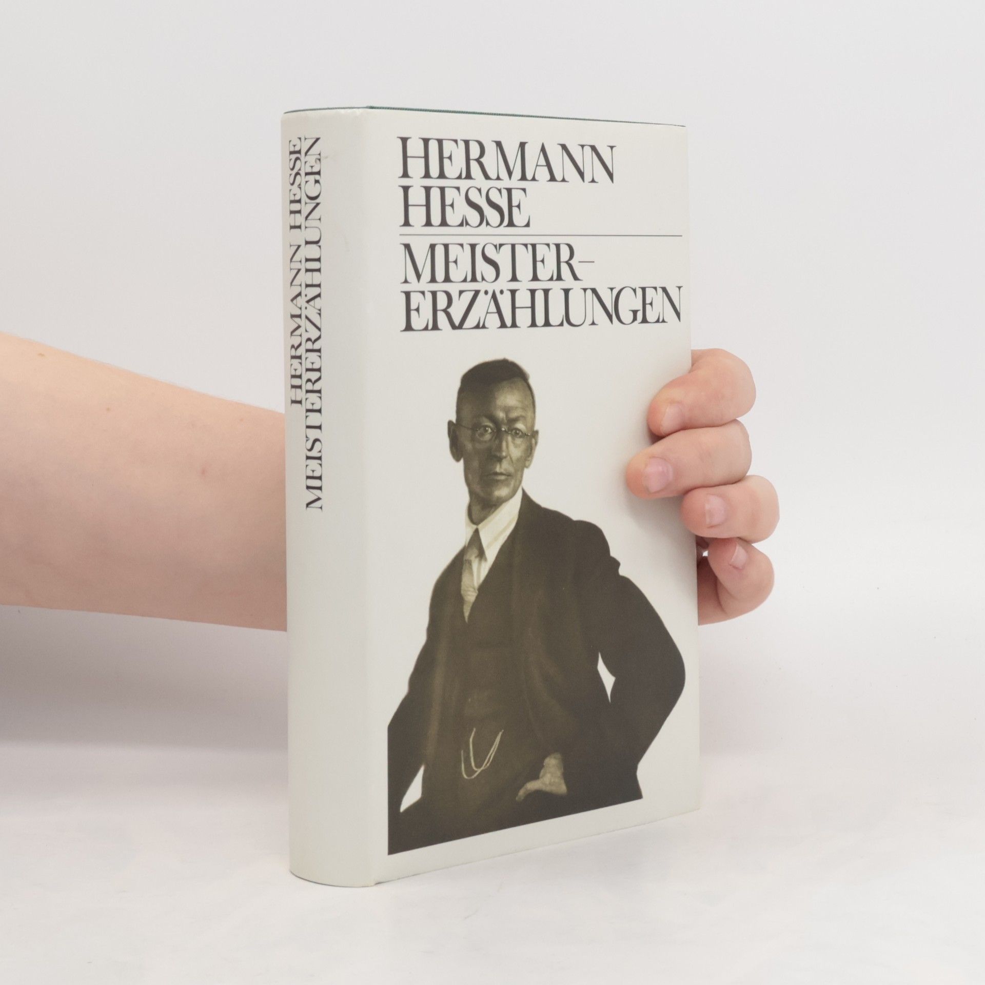 Hermann Hesse Meistererzählungen