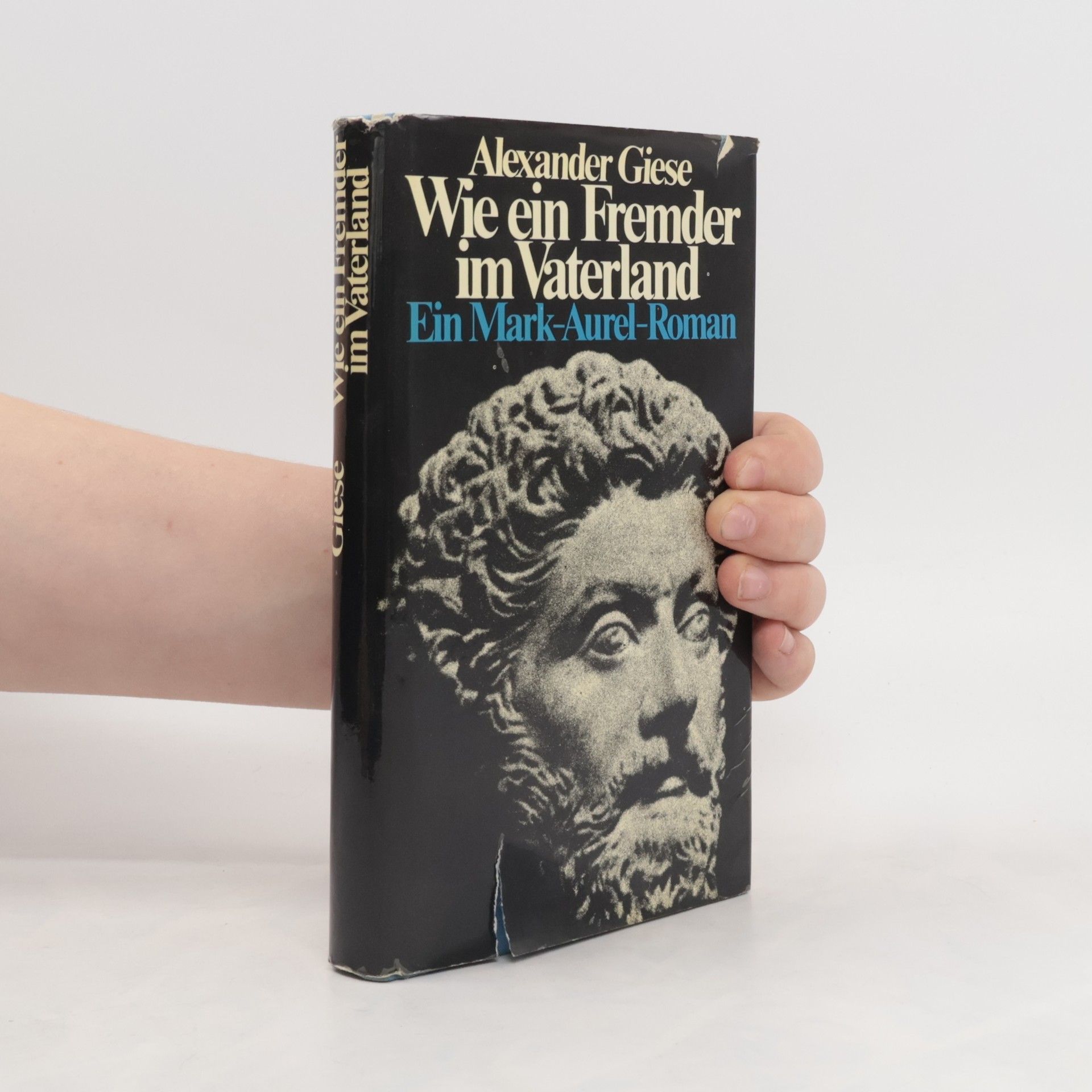 Alexander Giese Wie ein Fremder im Vaterland