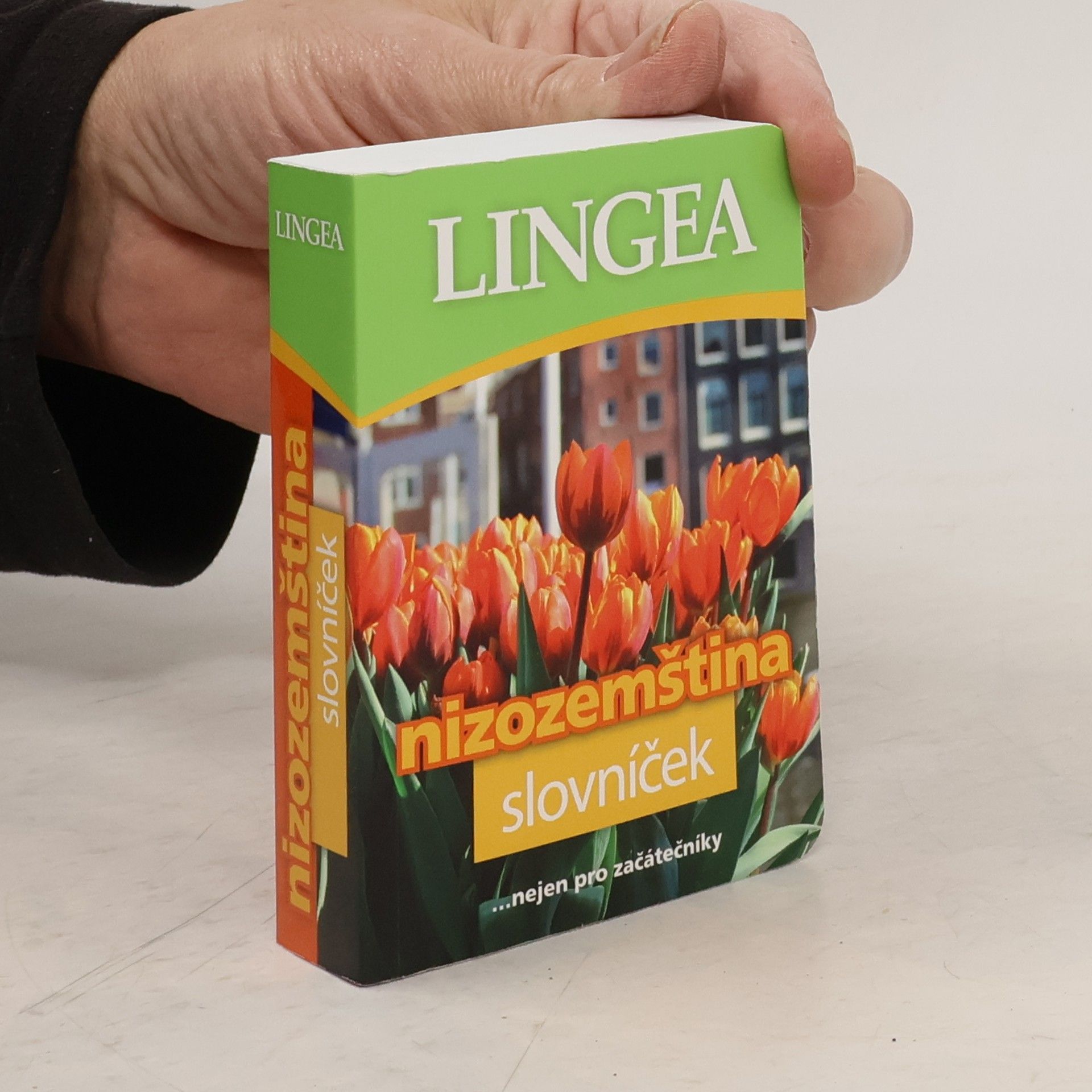 Autorenkollektiv Nizozemština. Slovníček