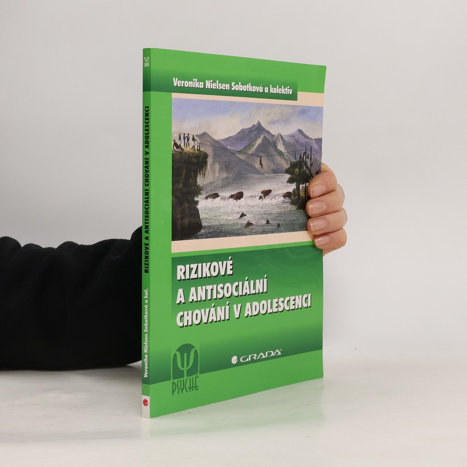 Rizikové a antisociální chování v adolescenci