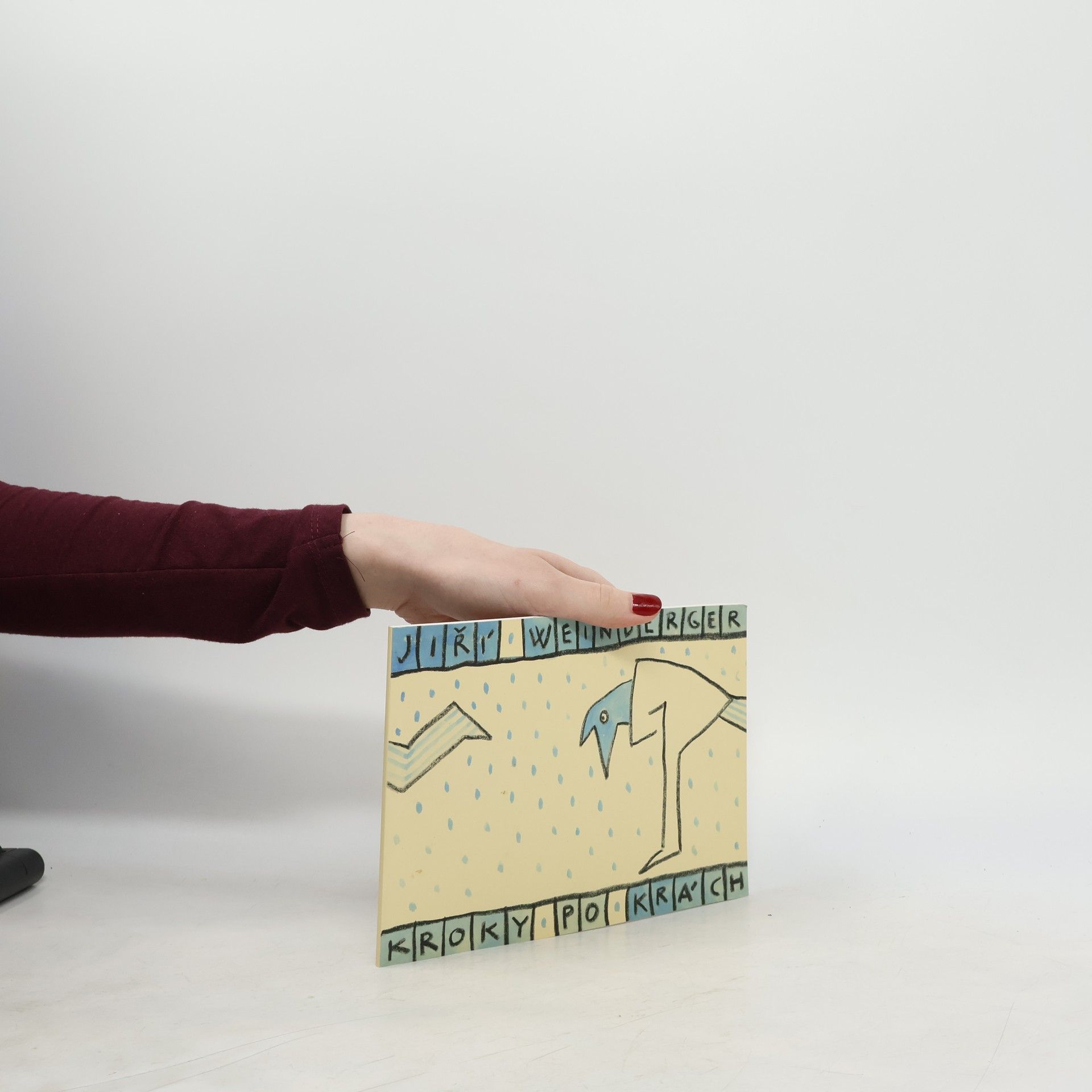 Jiří Weinberger Kroky po krách