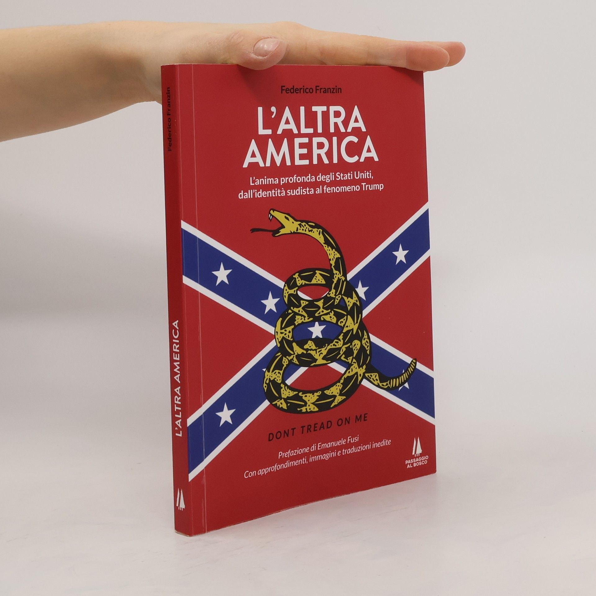 Federico Franzin L'altra America. L'anima profonda degli Stati Uniti, dall'identità sudista al fenomeno Trump