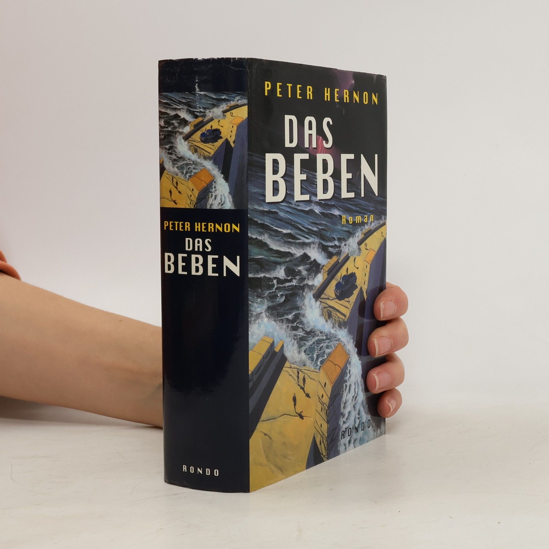 Peter Hernon Das Beben