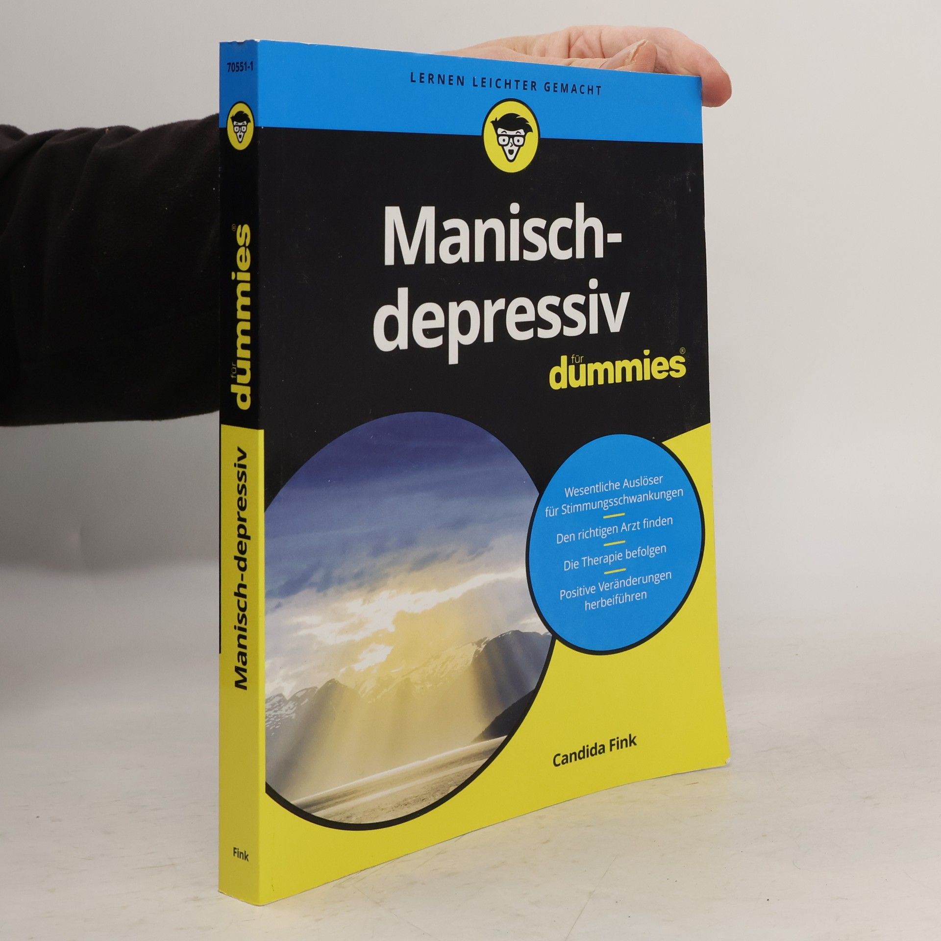 Candida Fink Manisch-depressiv für Dummies