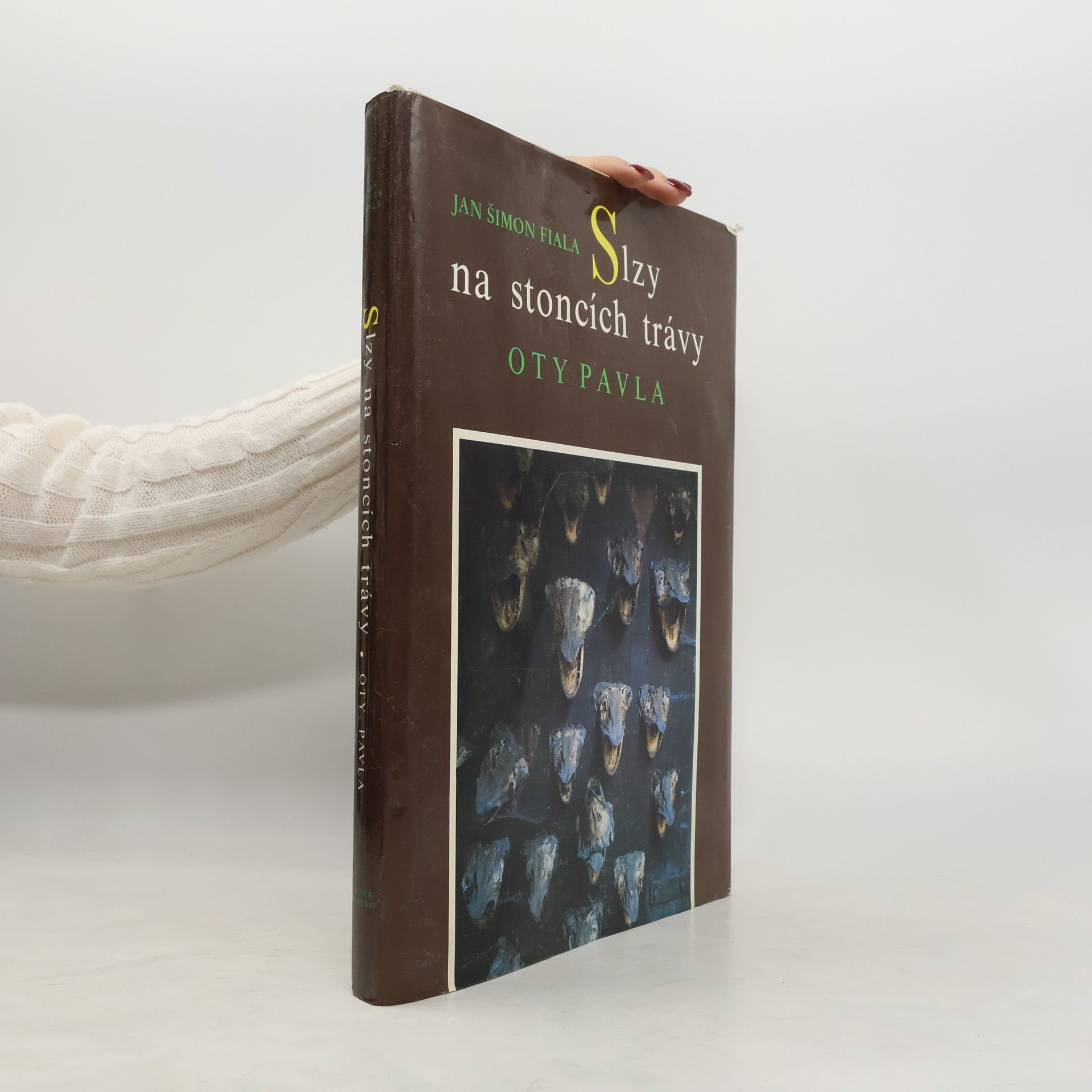 Slzy na stoncích trávy Oty Pavla