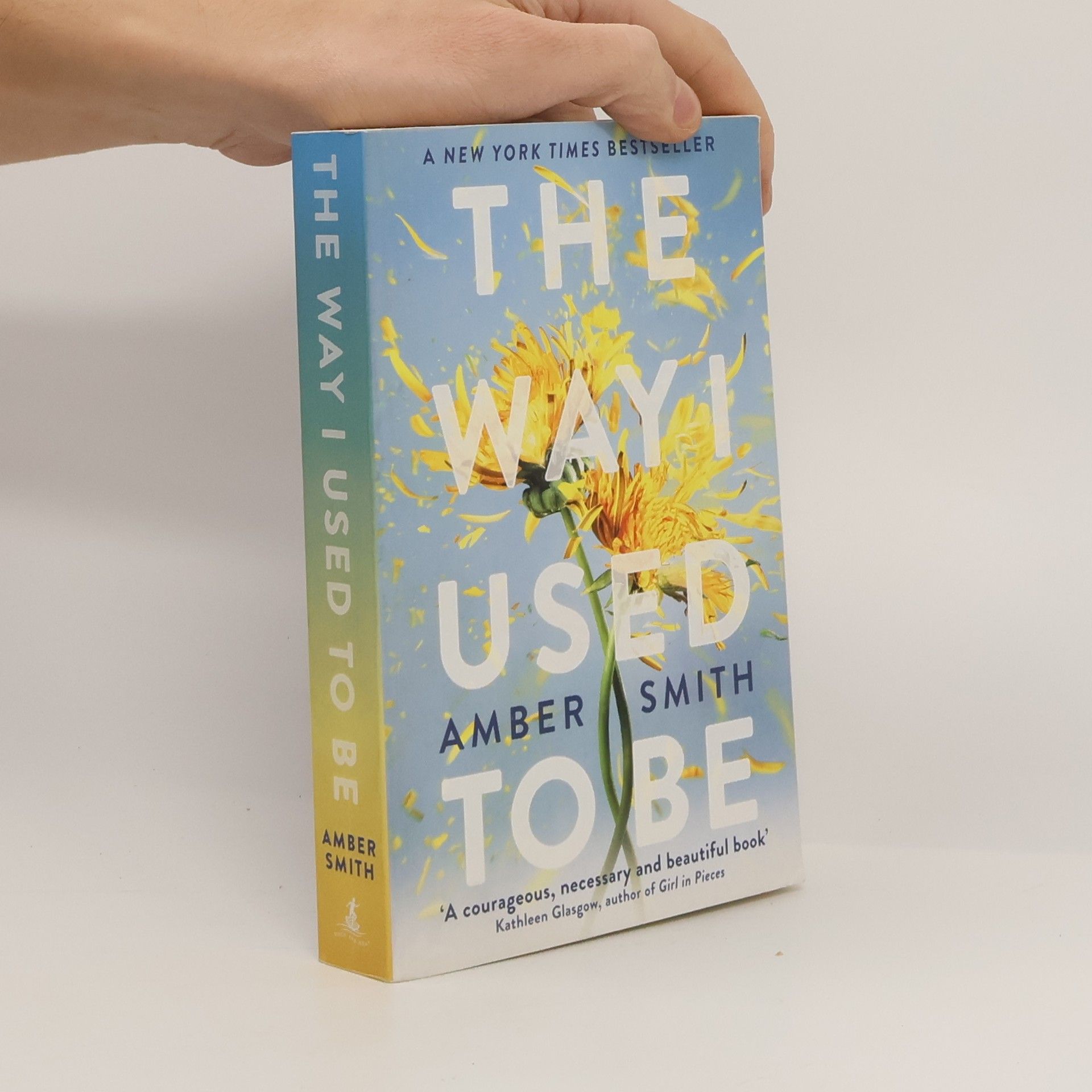 Amber Smith The way I used to be