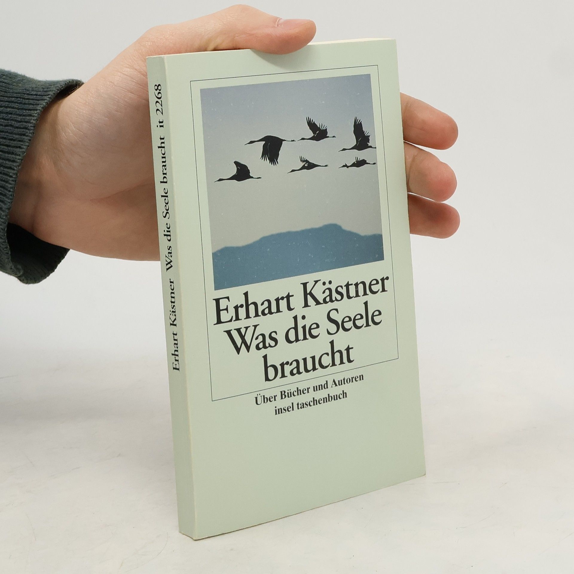 Insel Taschenbuch - 2268: Was die Seele braucht