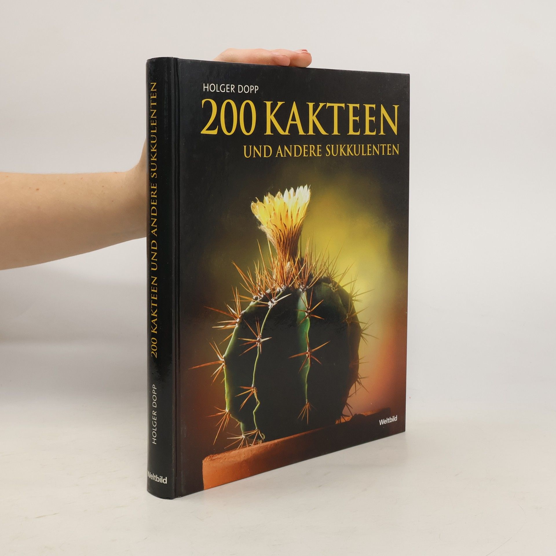 200 Kakteen und andere Sukkulenten