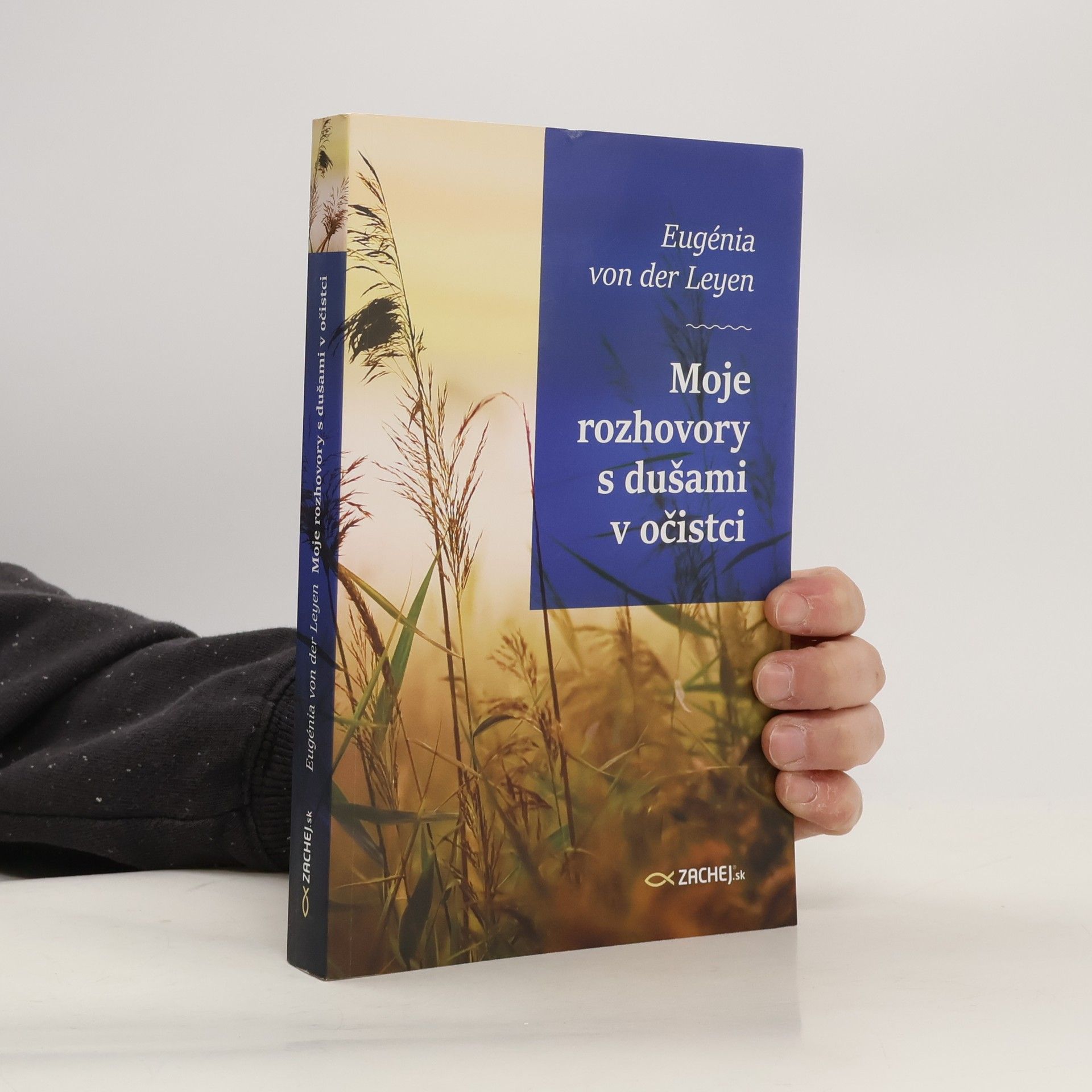 Moje rozhovory s dušami v očistci