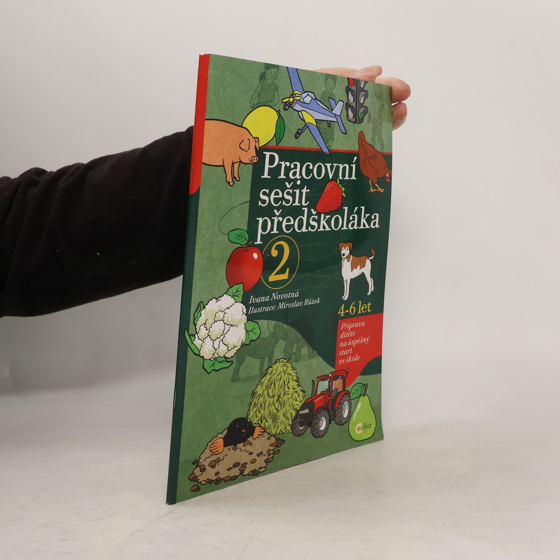 Pracovní sešit předškoláka 2