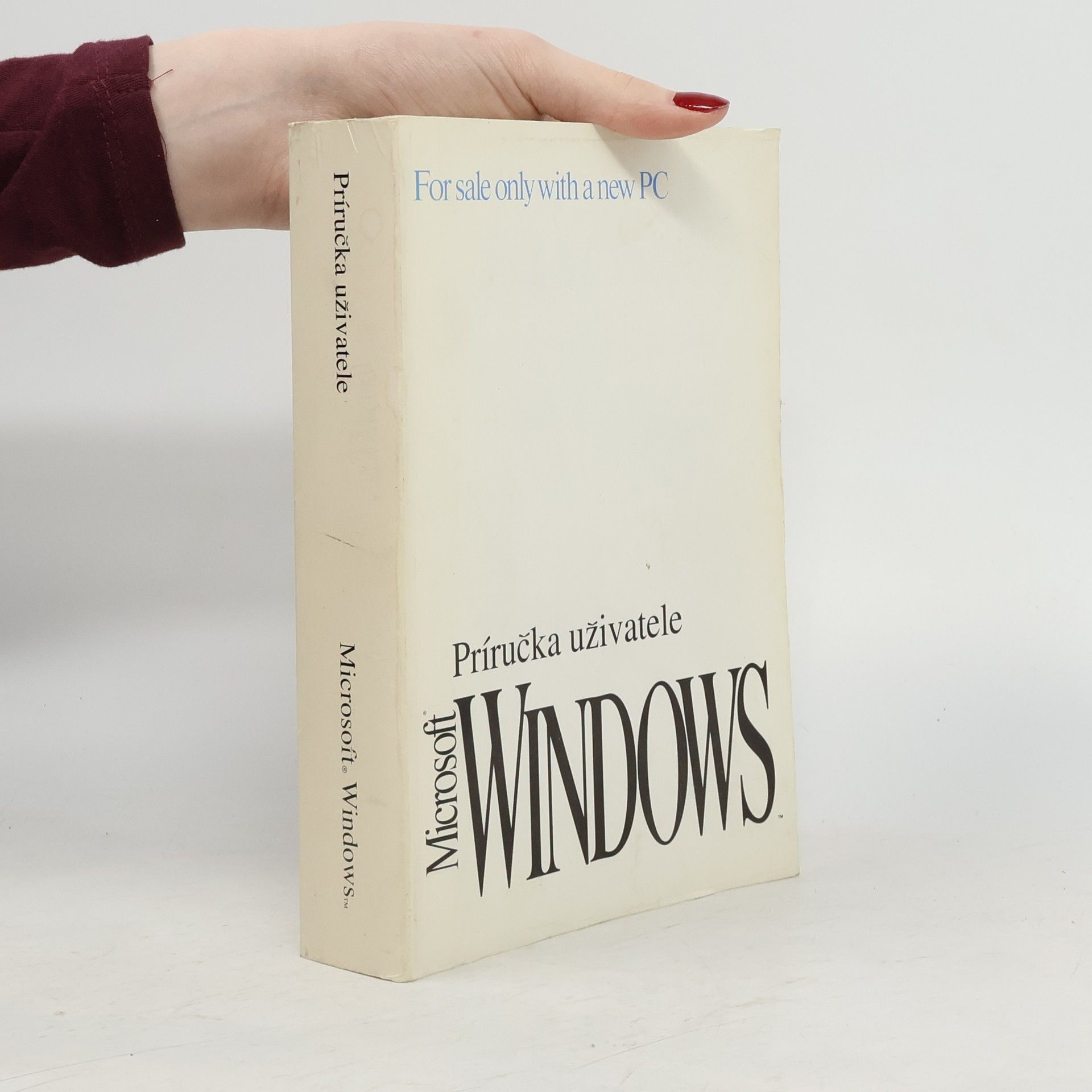 Autorenkollektiv Microsoft Windows 3.1 Příručka uživatele