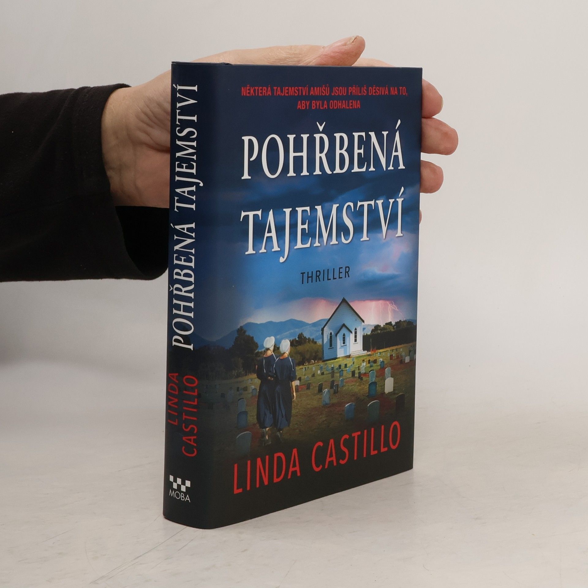 Linda Castillo Pohřbená tajemství