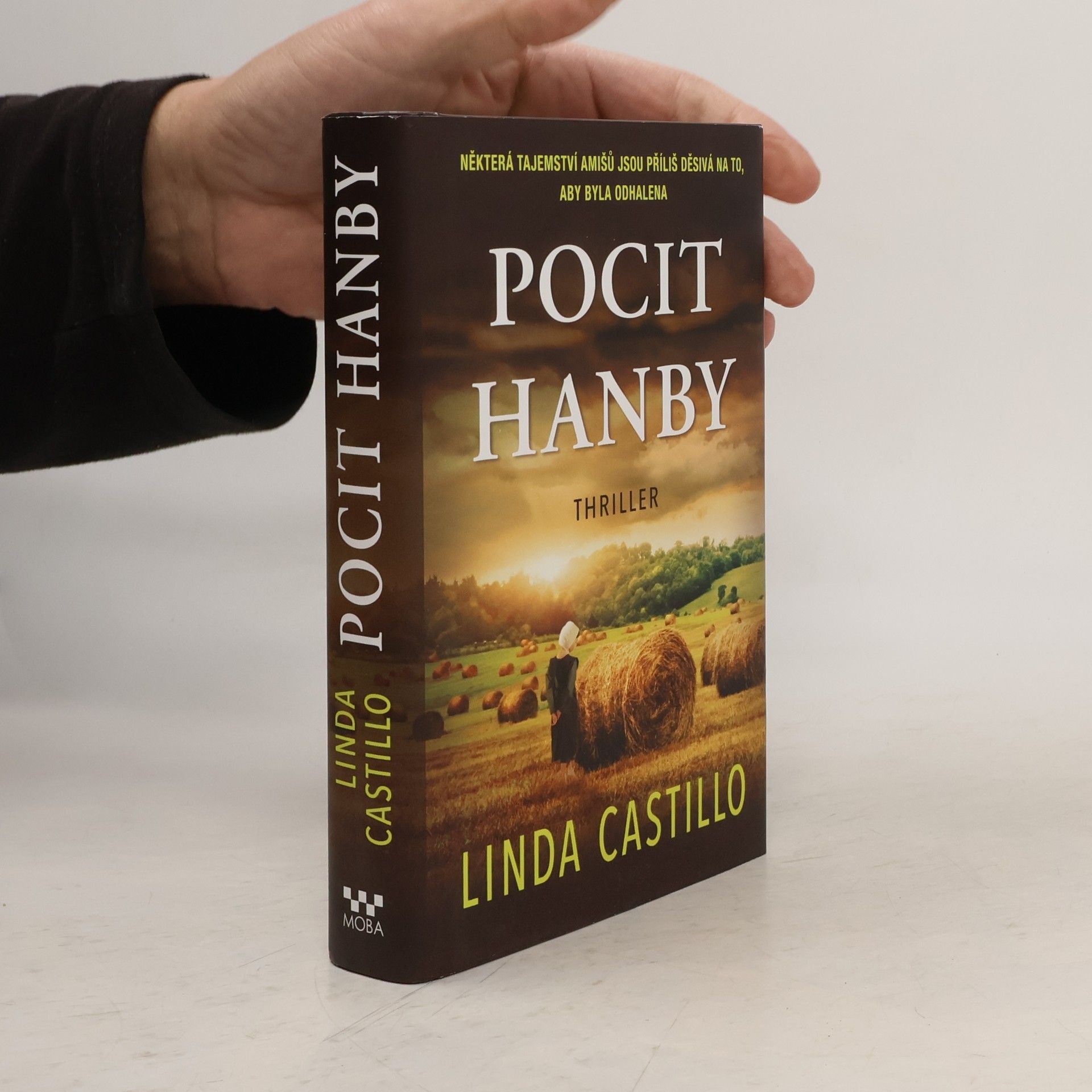 Linda Castillo Pocit hanby