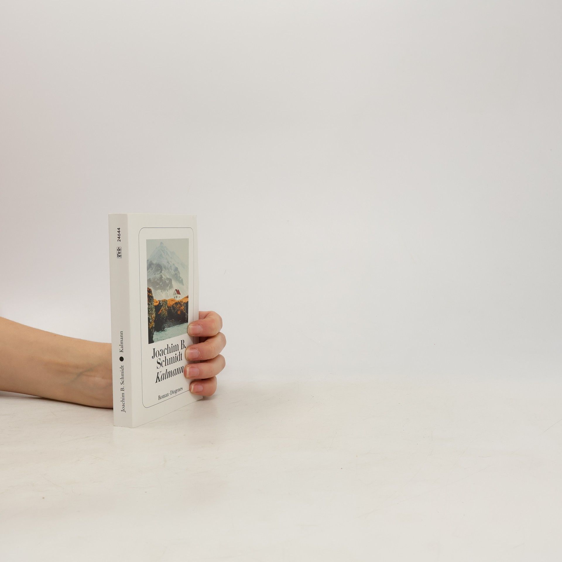 Joachim B. Schmidt Kalmann