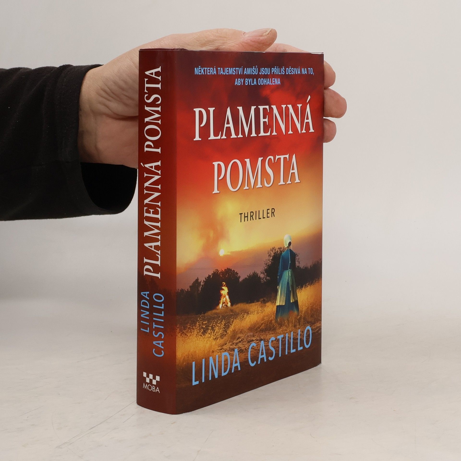 Linda Castillo Plamenná pomsta