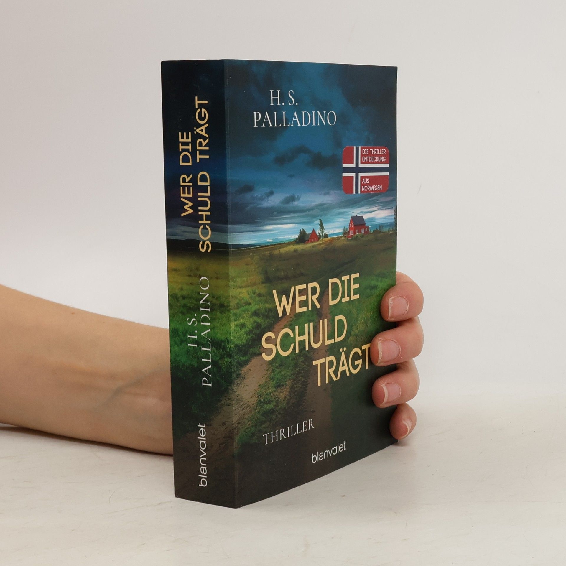 H.S. Palladino Wer die Schuld trägt