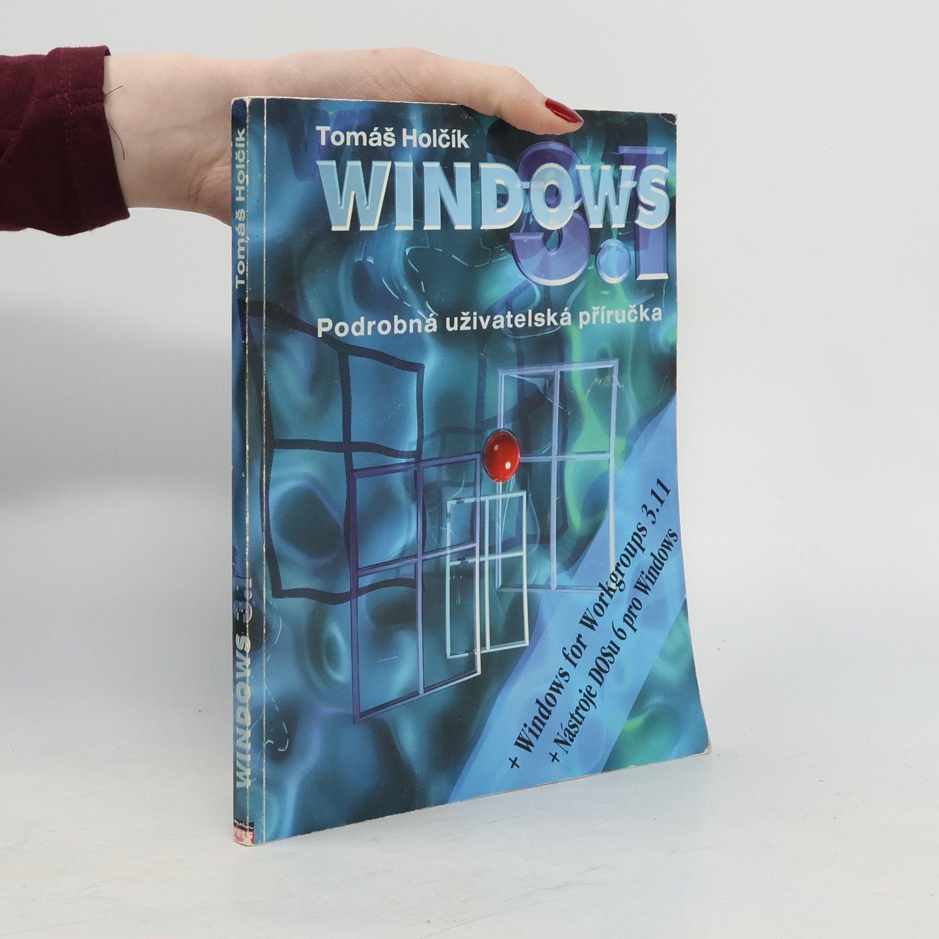 Tomáš Holčík Microsoft Windows 3.1 CS : Podrobná uživatelská příručka
