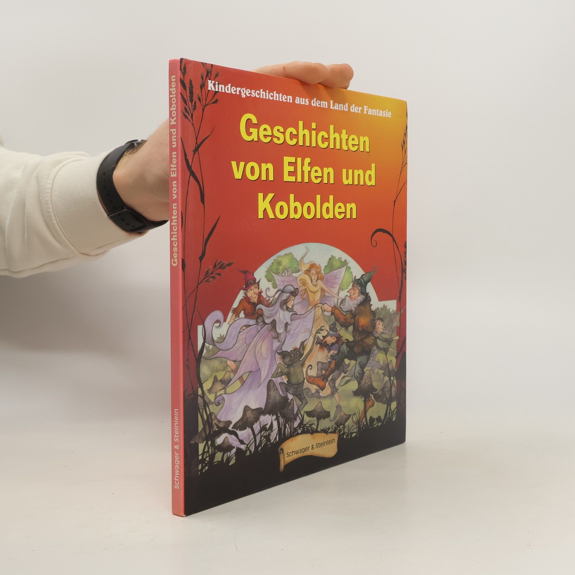 Jane Launchbury Geschichten von Elfen und Kobolden