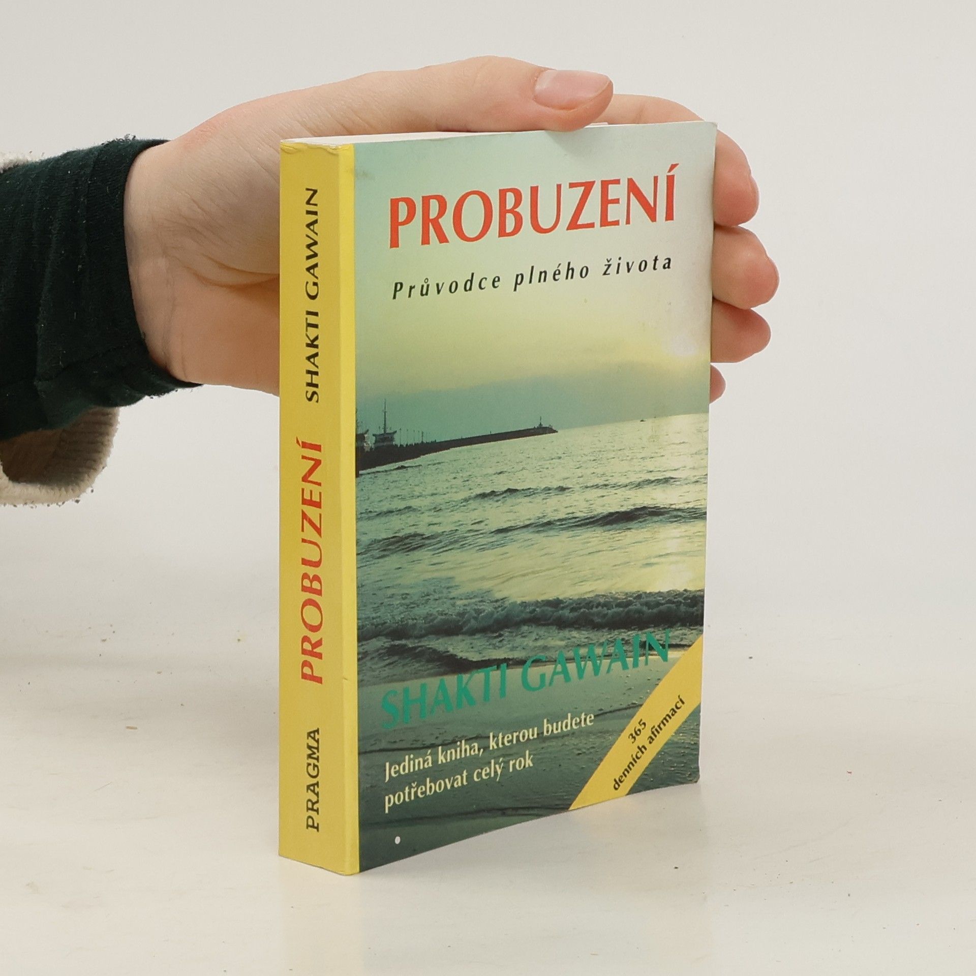 Shakti Gawain Probuzení. Průvodce plného života