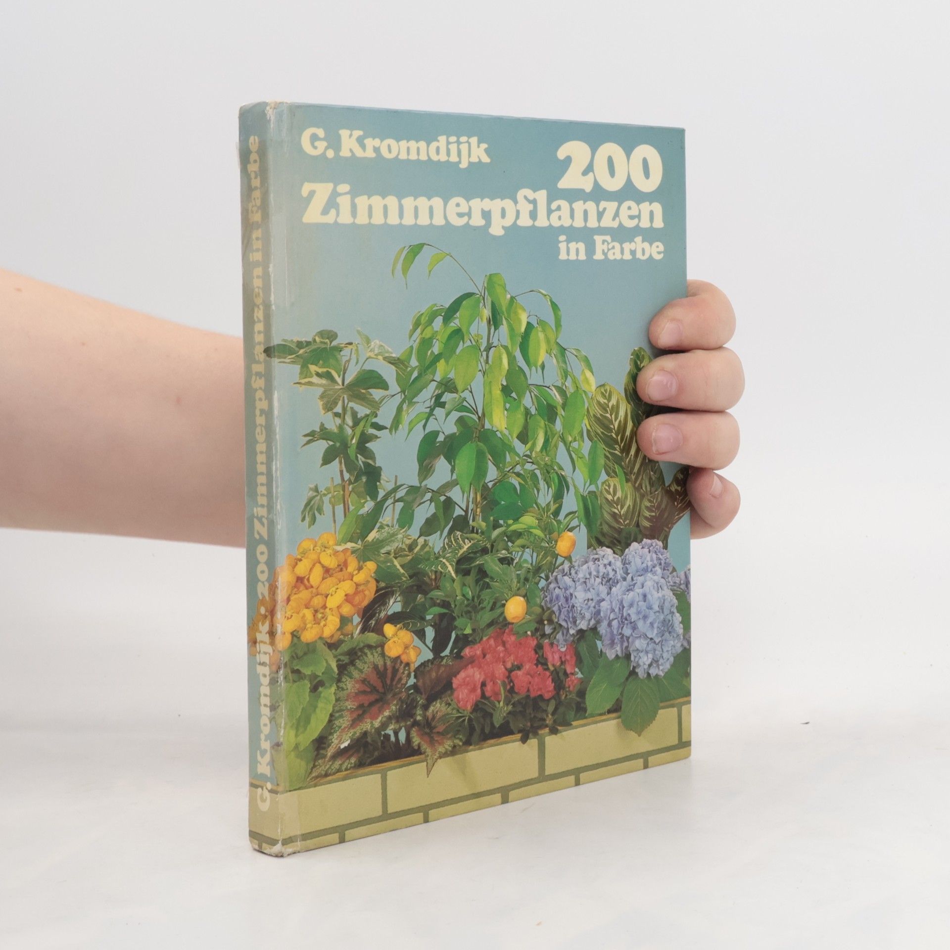 G. Kromdijk 200 Zimmerpflanzen in Farbe
