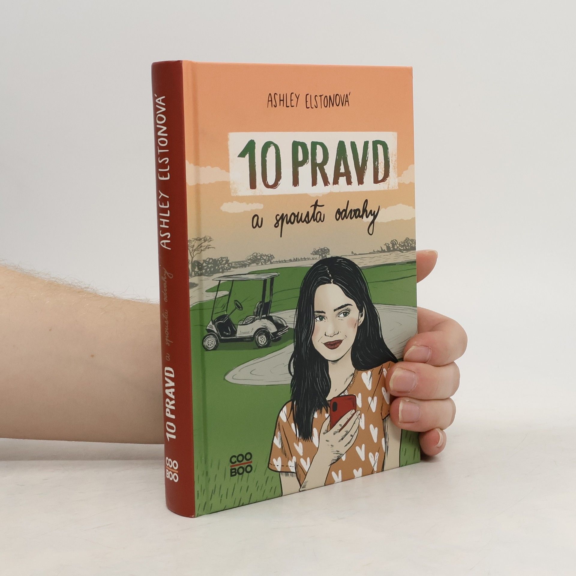 Ashley Elston 10 pravd a spousta odvahy