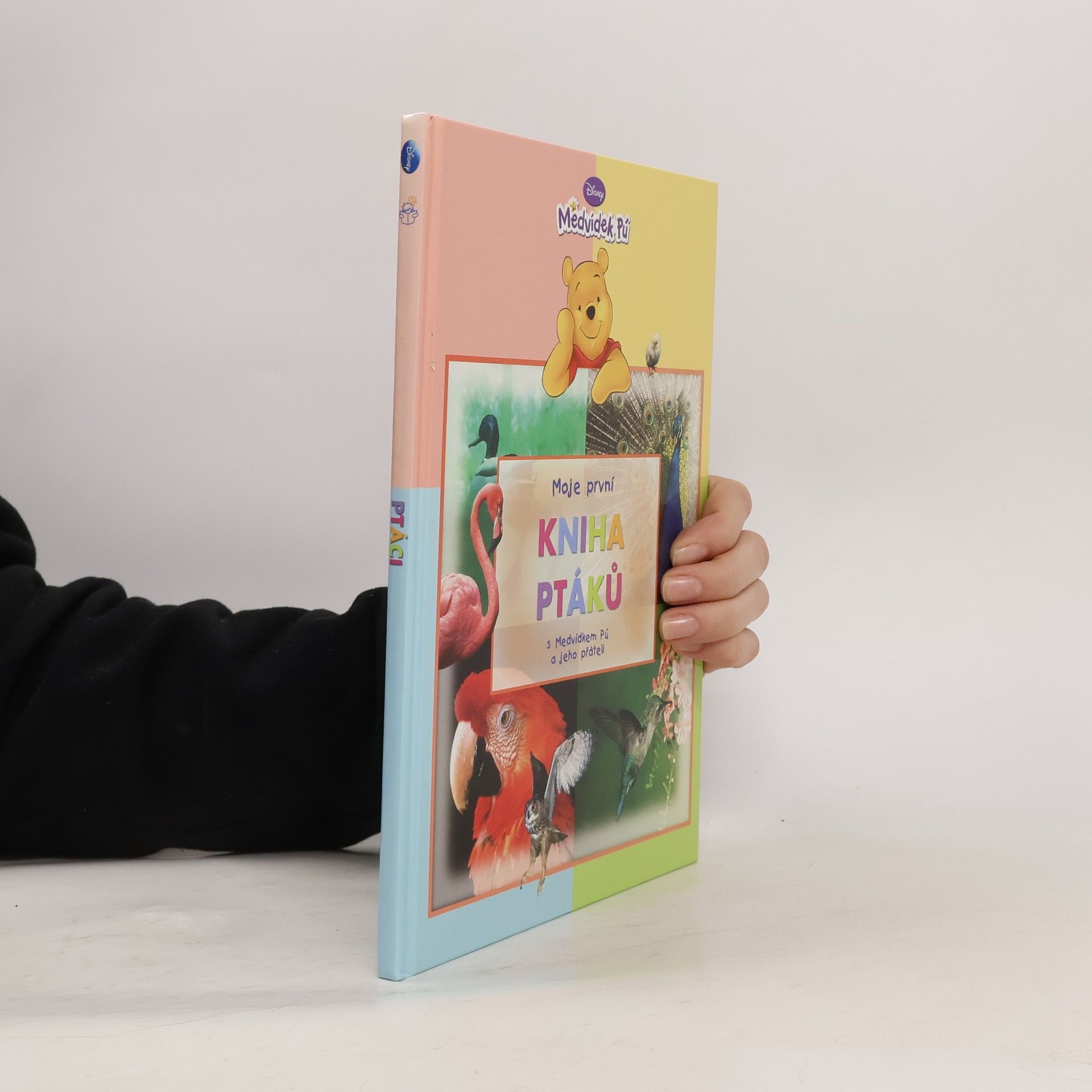 Walt Disney Moje první kniha ptáků s Medvídkem Pú a jeho přáteli