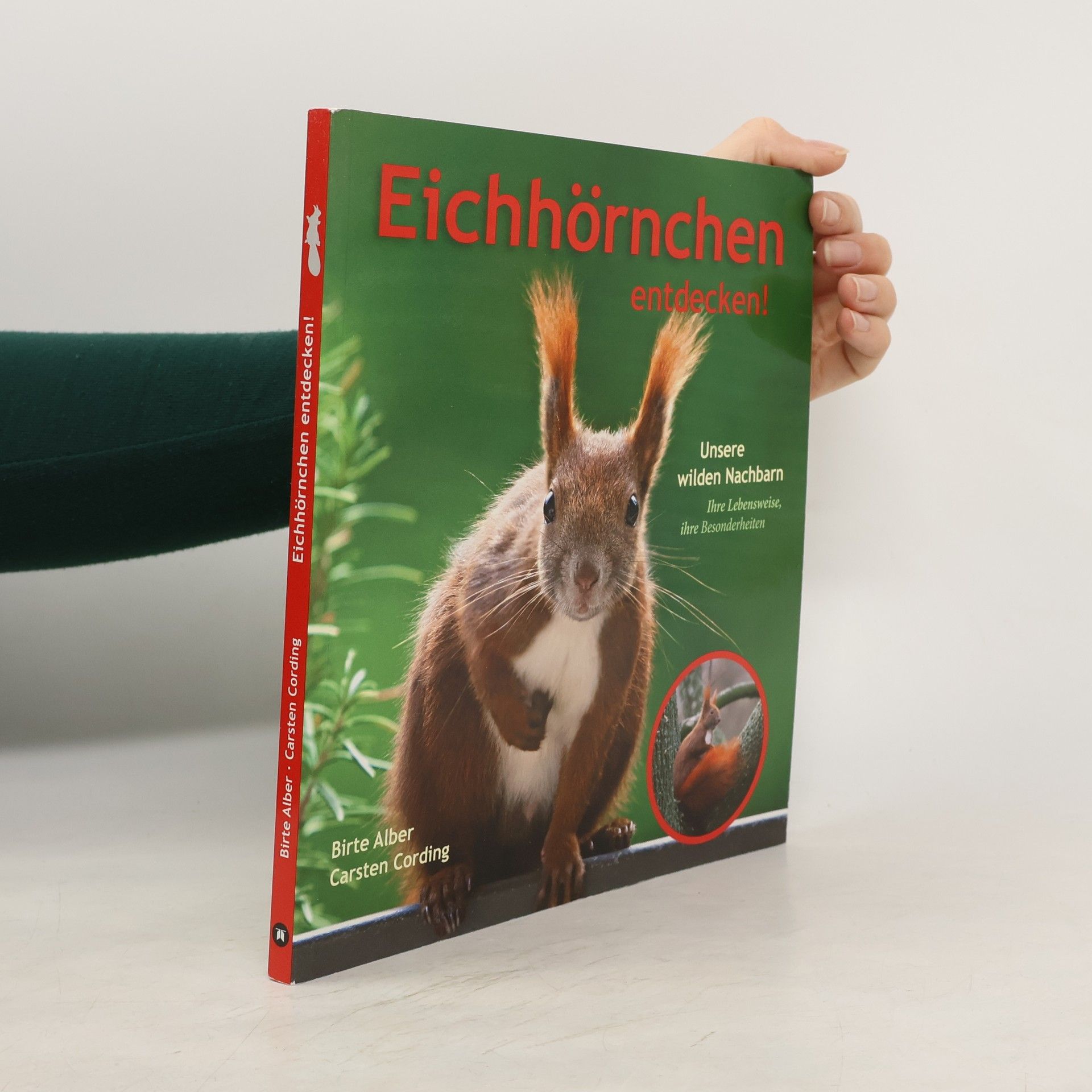 Birte Alber Eichhörnchen entdecken!