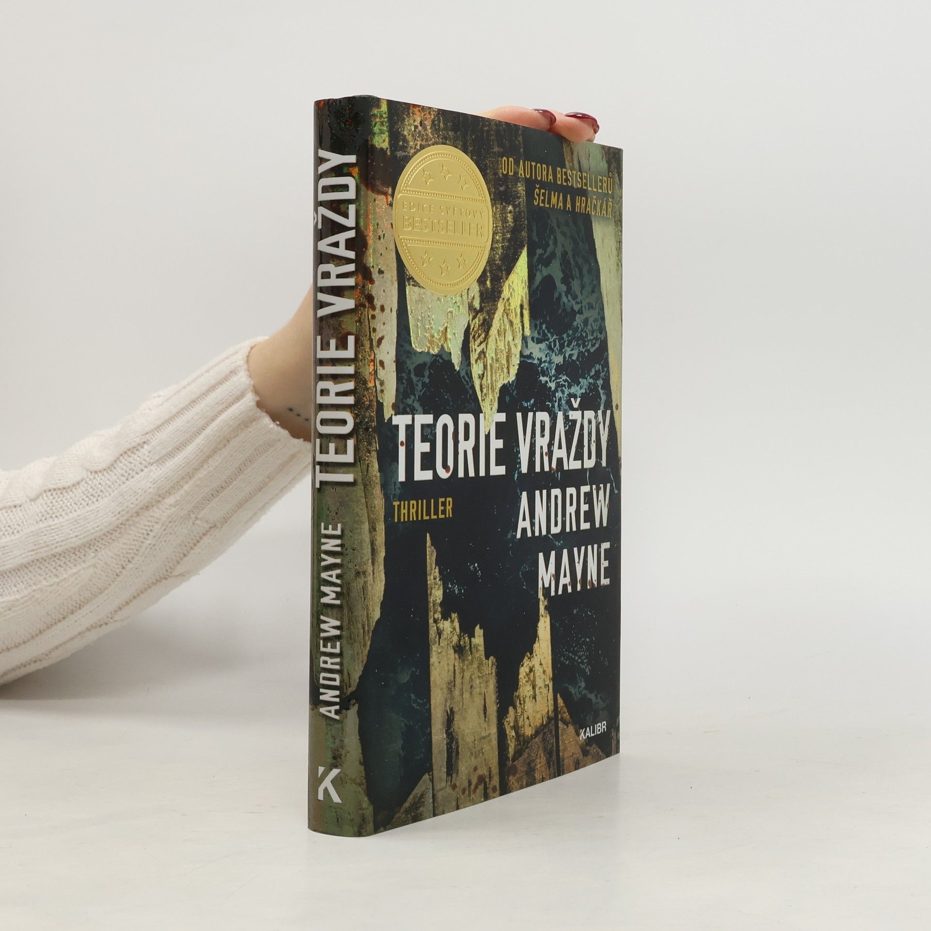 Andrew Mayne Teorie vraždy