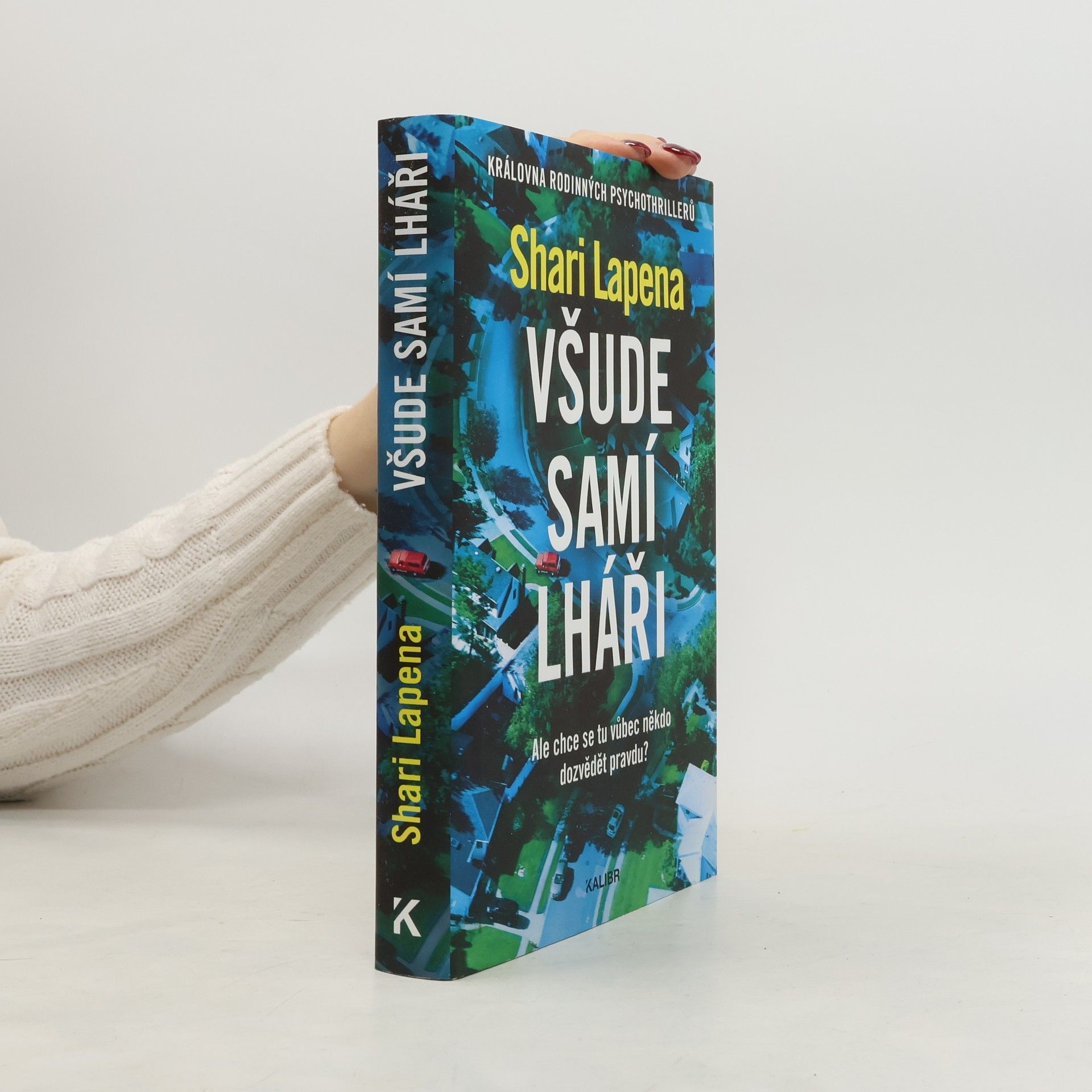 Shari Lapena Všude samí lháři