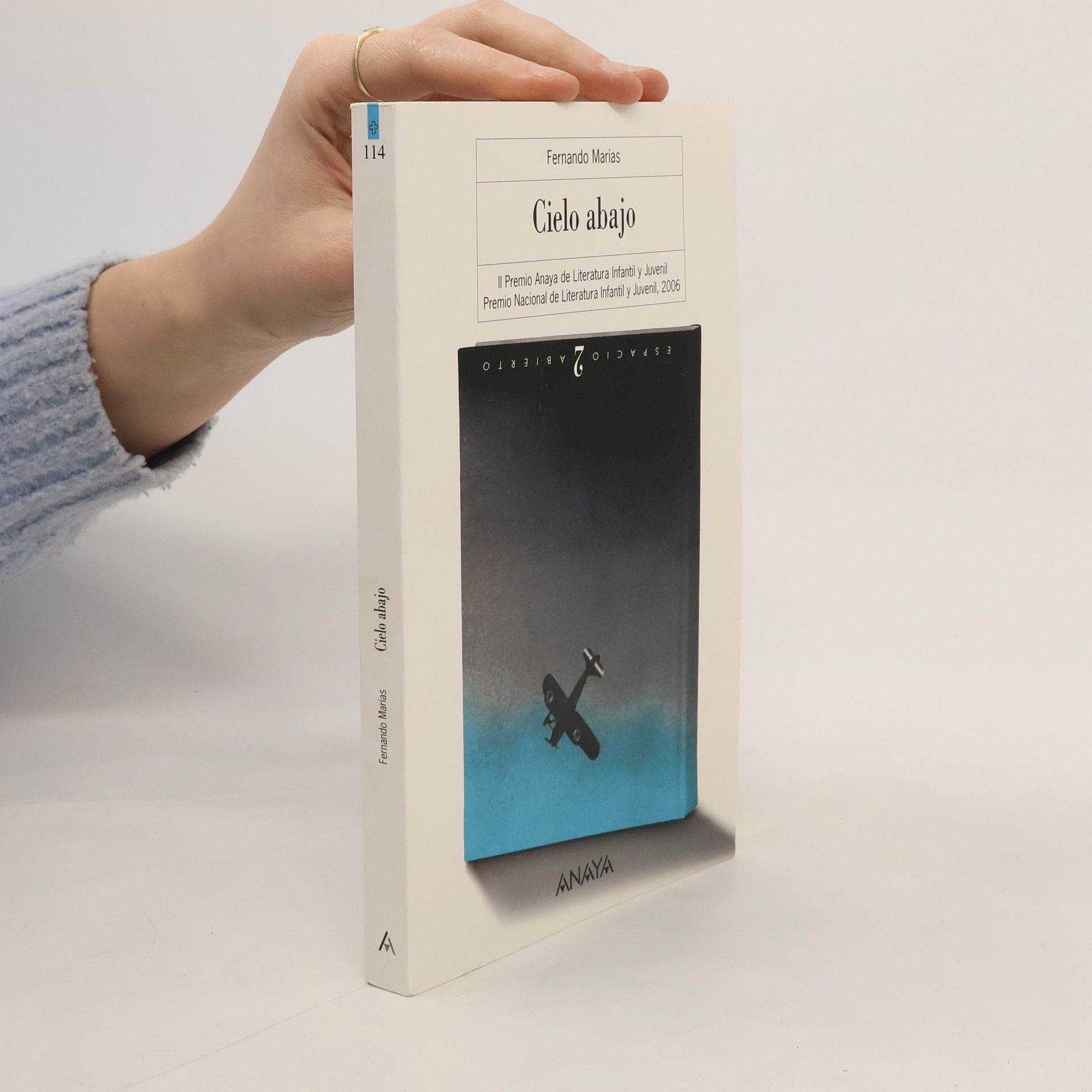 Espacio Abierto - 2: Cielo abajo